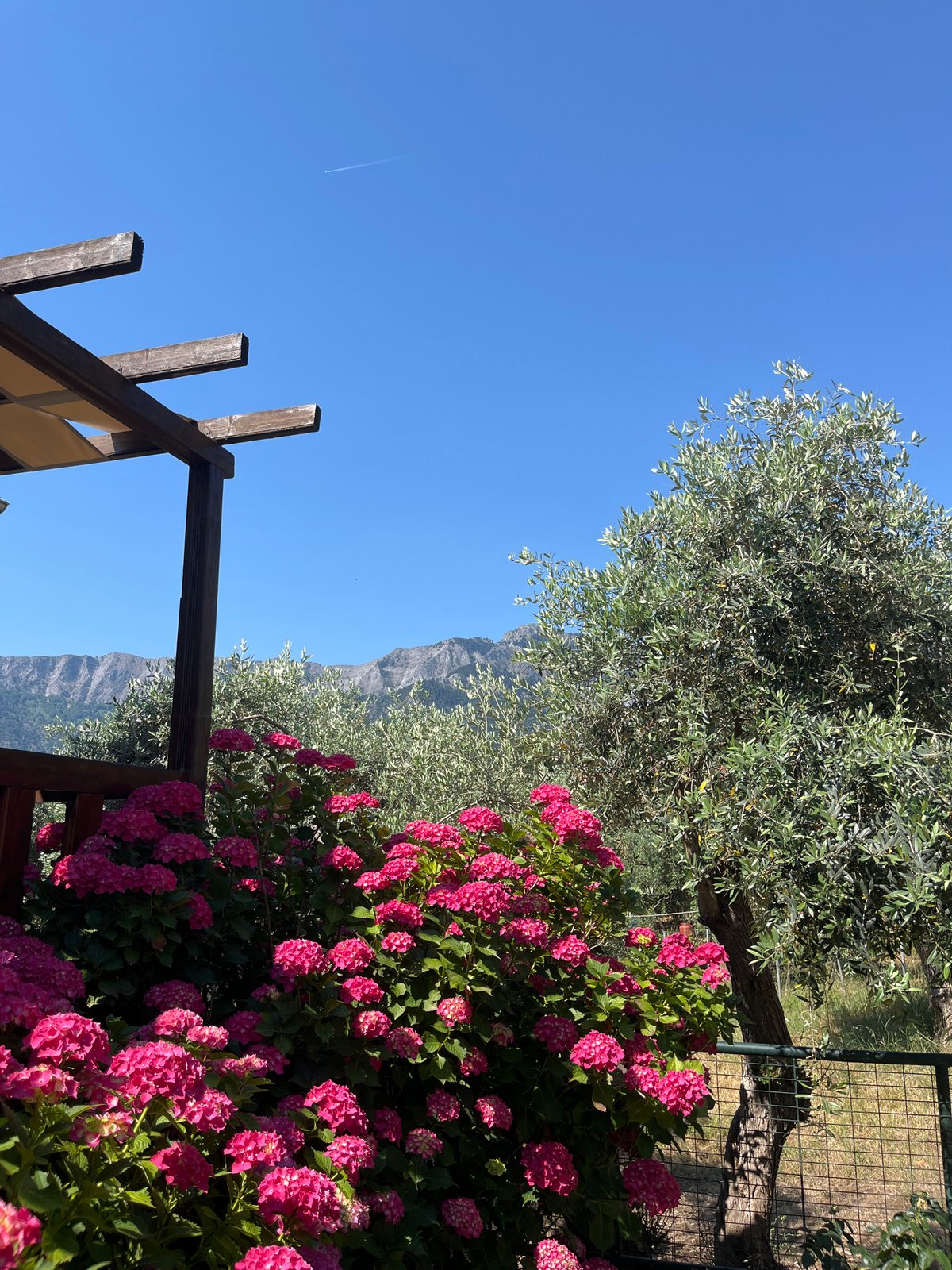 Morning memories capture Mediterranean beach, gardens, and mountain views