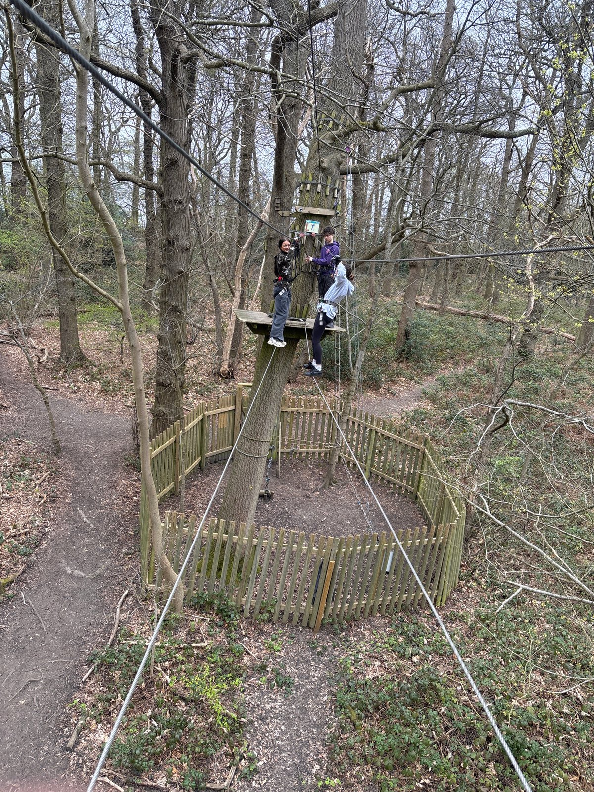 Two people navigate high ropes course in London trees