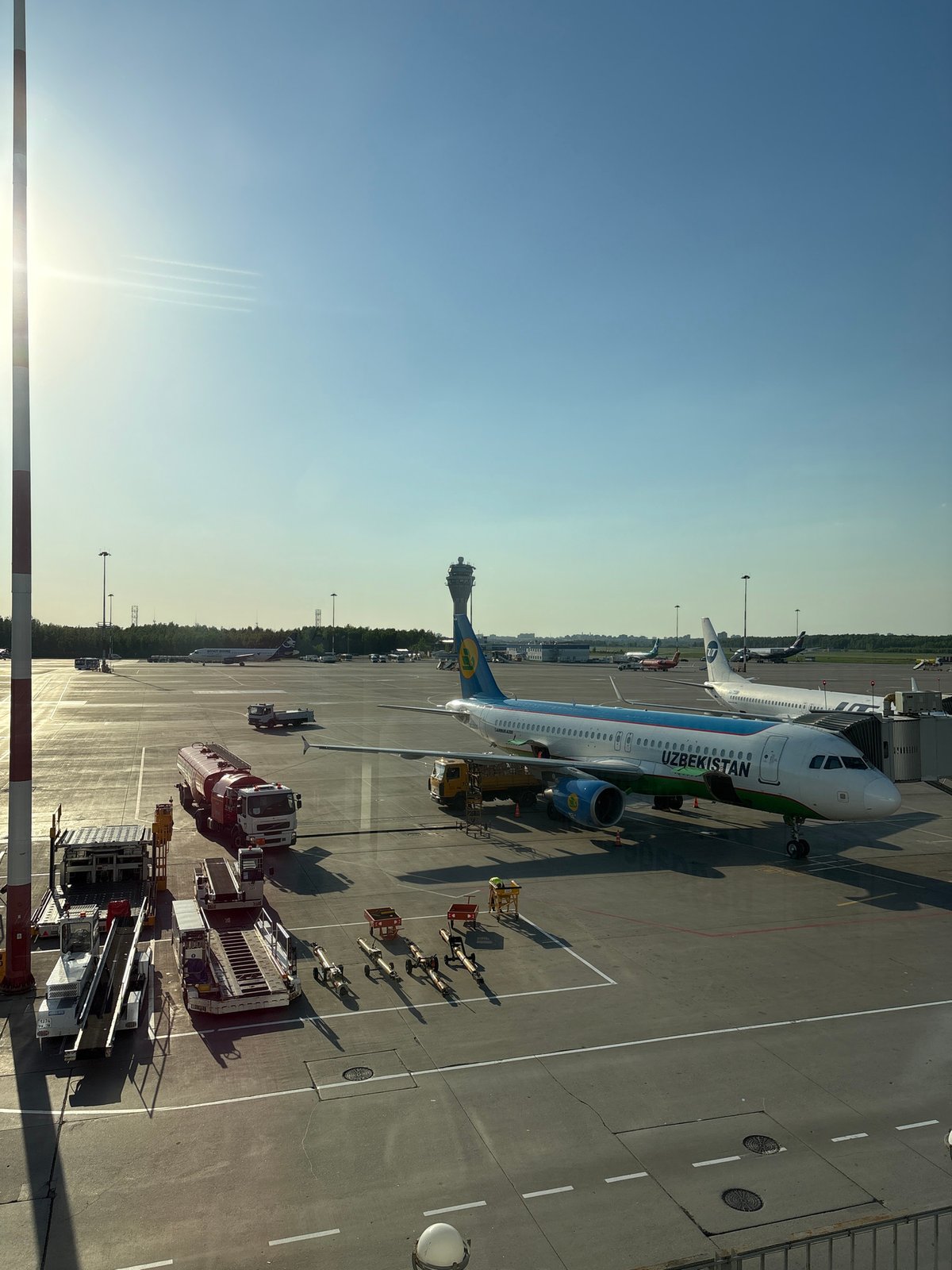 Uzbekistan Airways flights observed at Saint Petersburg's Pulkovo Airport