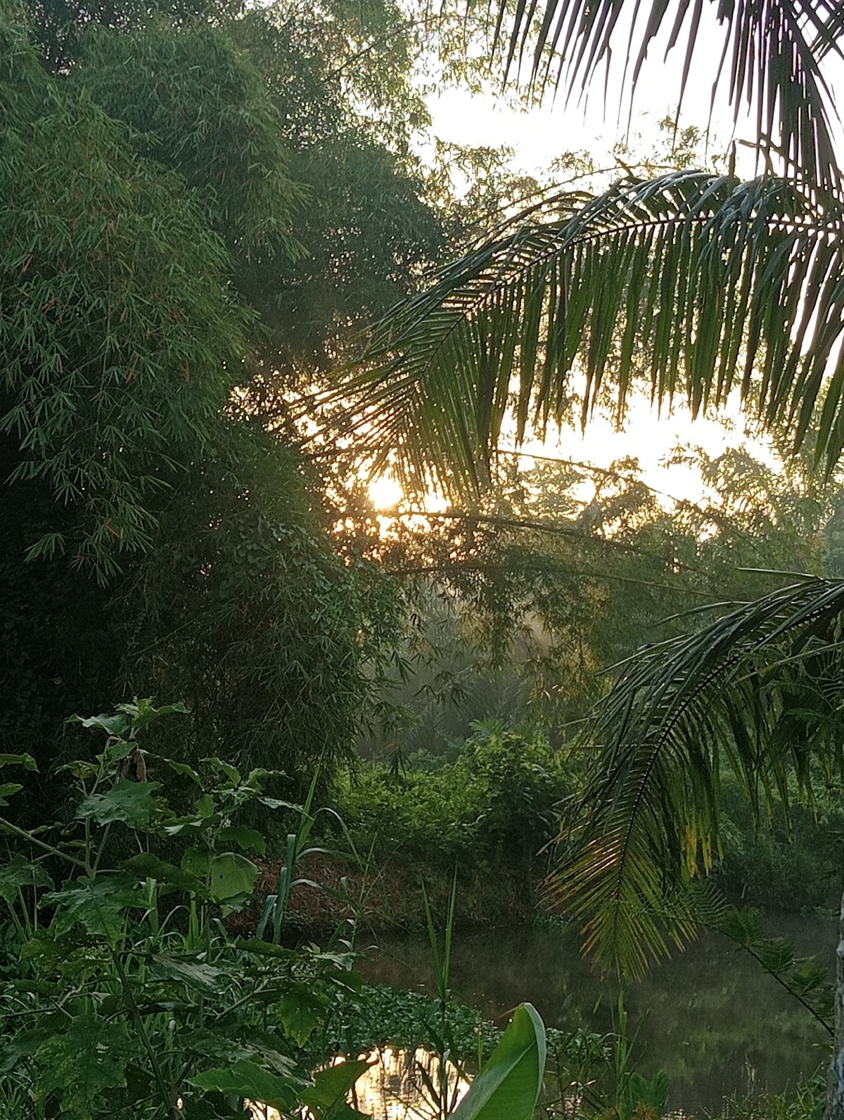 Evening rural life documented in Keudekrueng, Indonesia