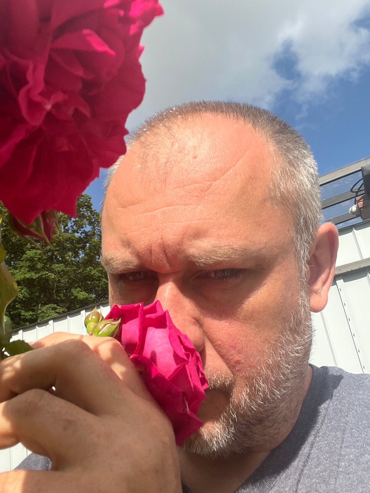Morning moments: roses, pets, quiet life in Russian town