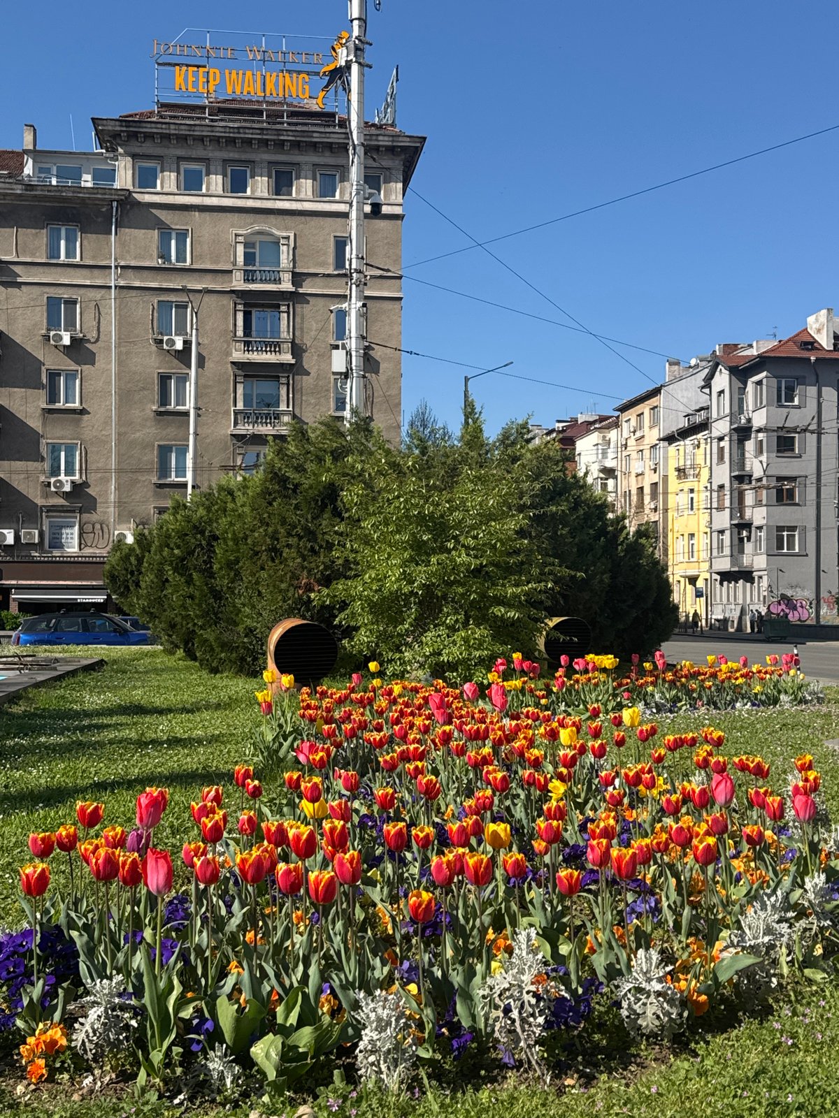 Spring morning scenes documented in central Sofia, Bulgaria