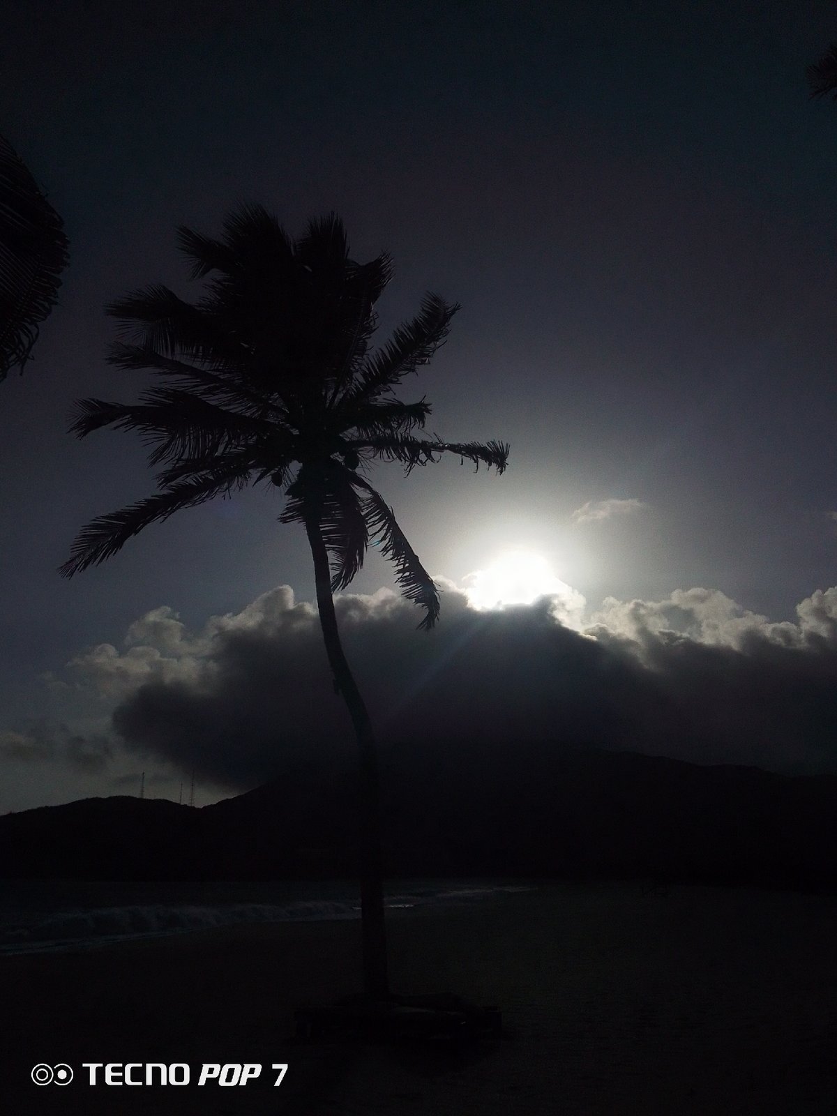 Tropical beach moments captured in Pedro González, Venezuela