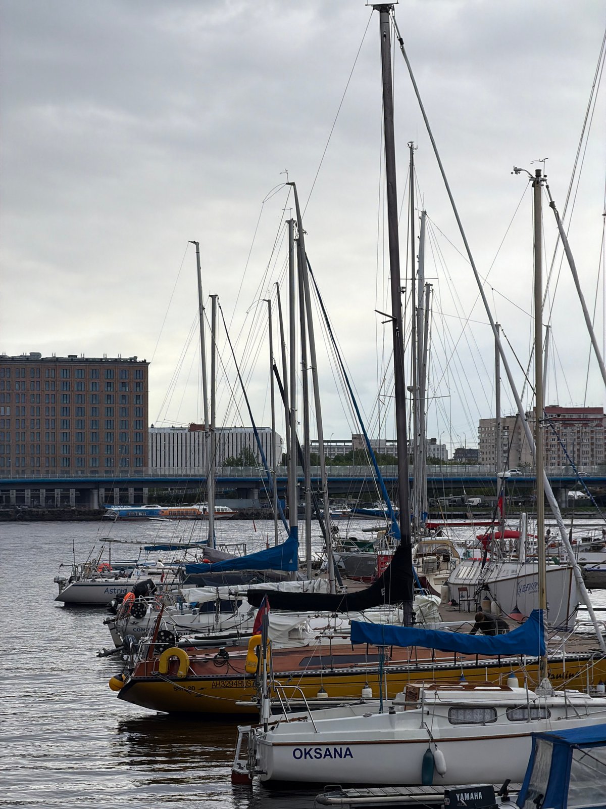 Sailboats docked at Saint Petersburg marina observed from elevated viewpoint