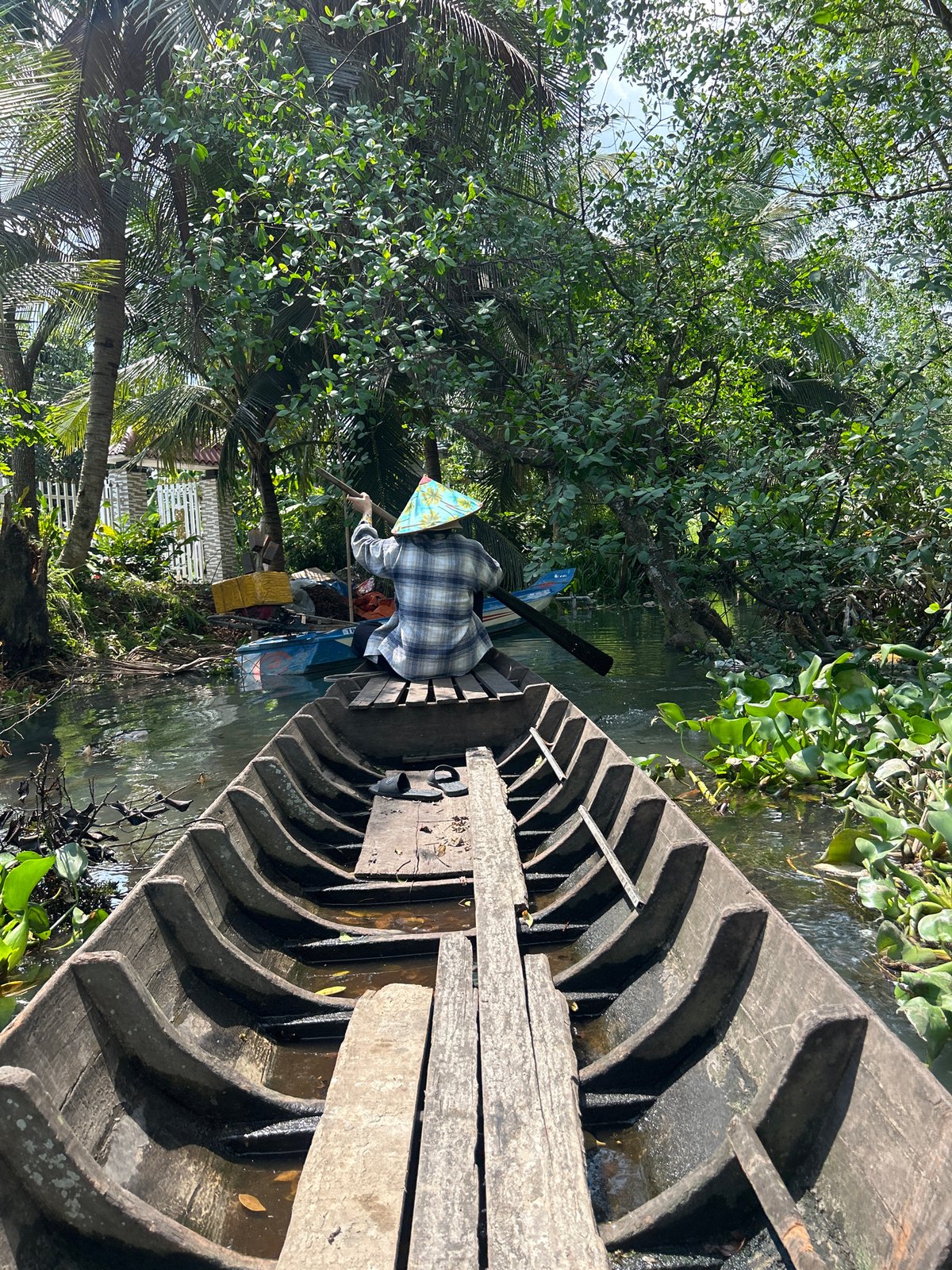 Morning scenes: canal boat, playful kittens, rural Vietnam life