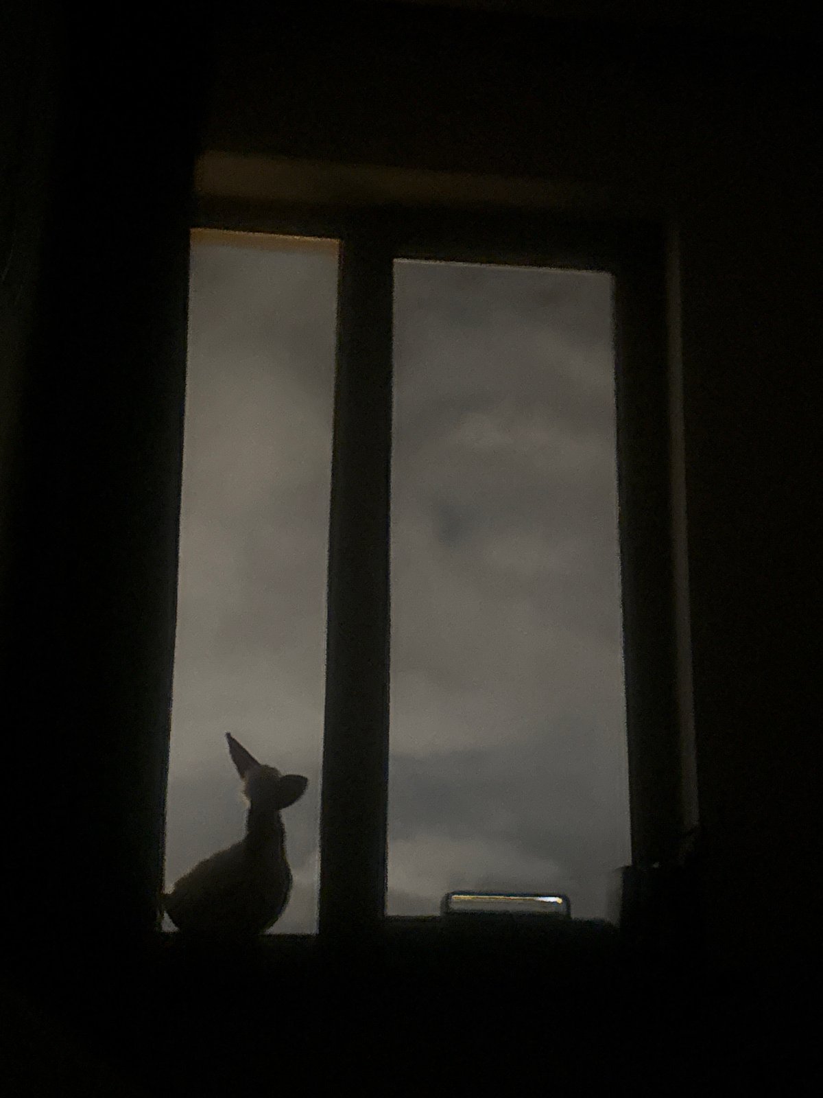 Window views captured in Yerevan during overcast evening