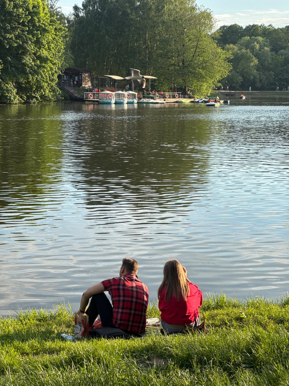 Afternoon park gathering observed at Moscow lake with ducks