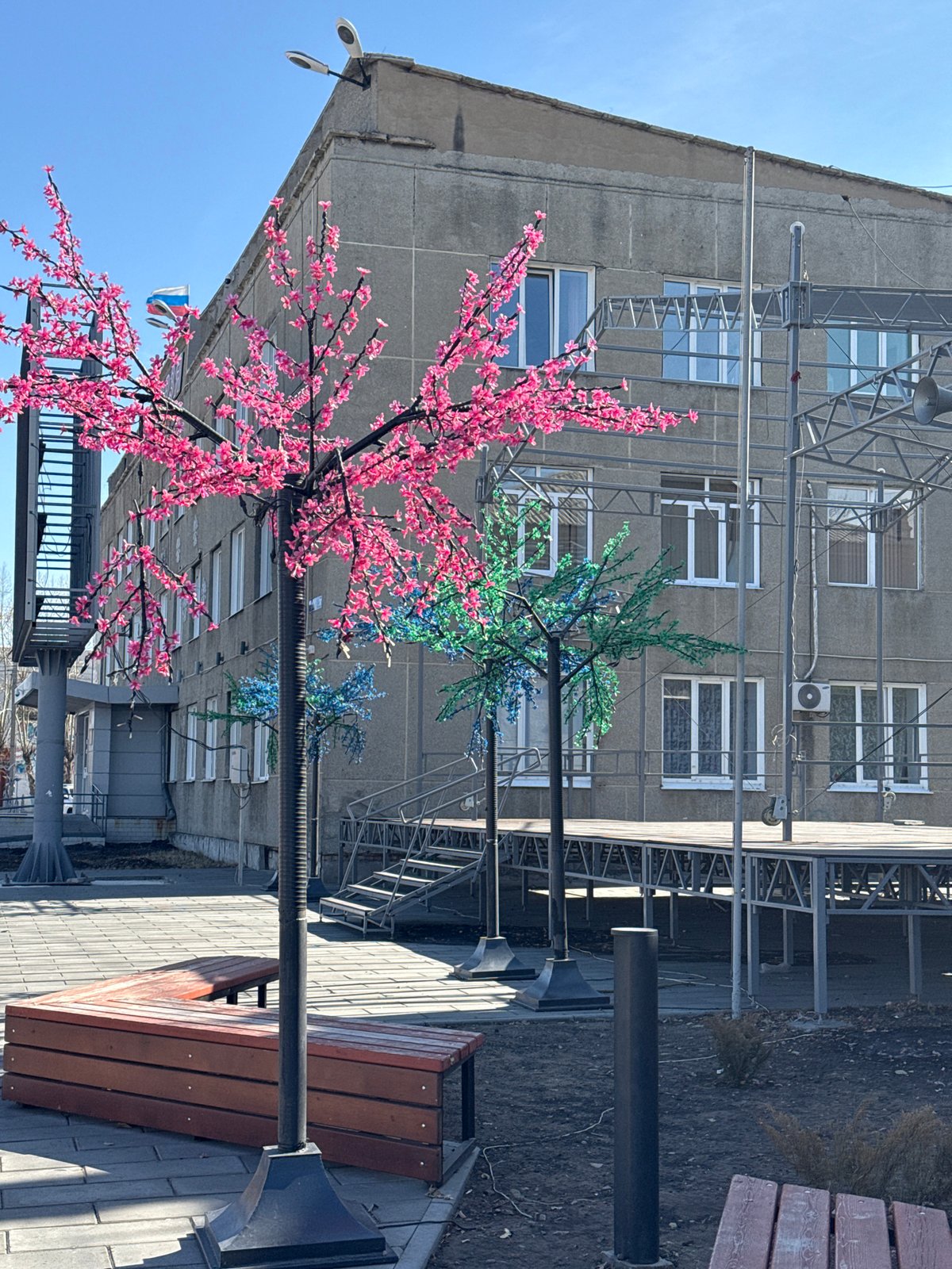 Artificial trees with pink blossoms spotted on Borzya street
