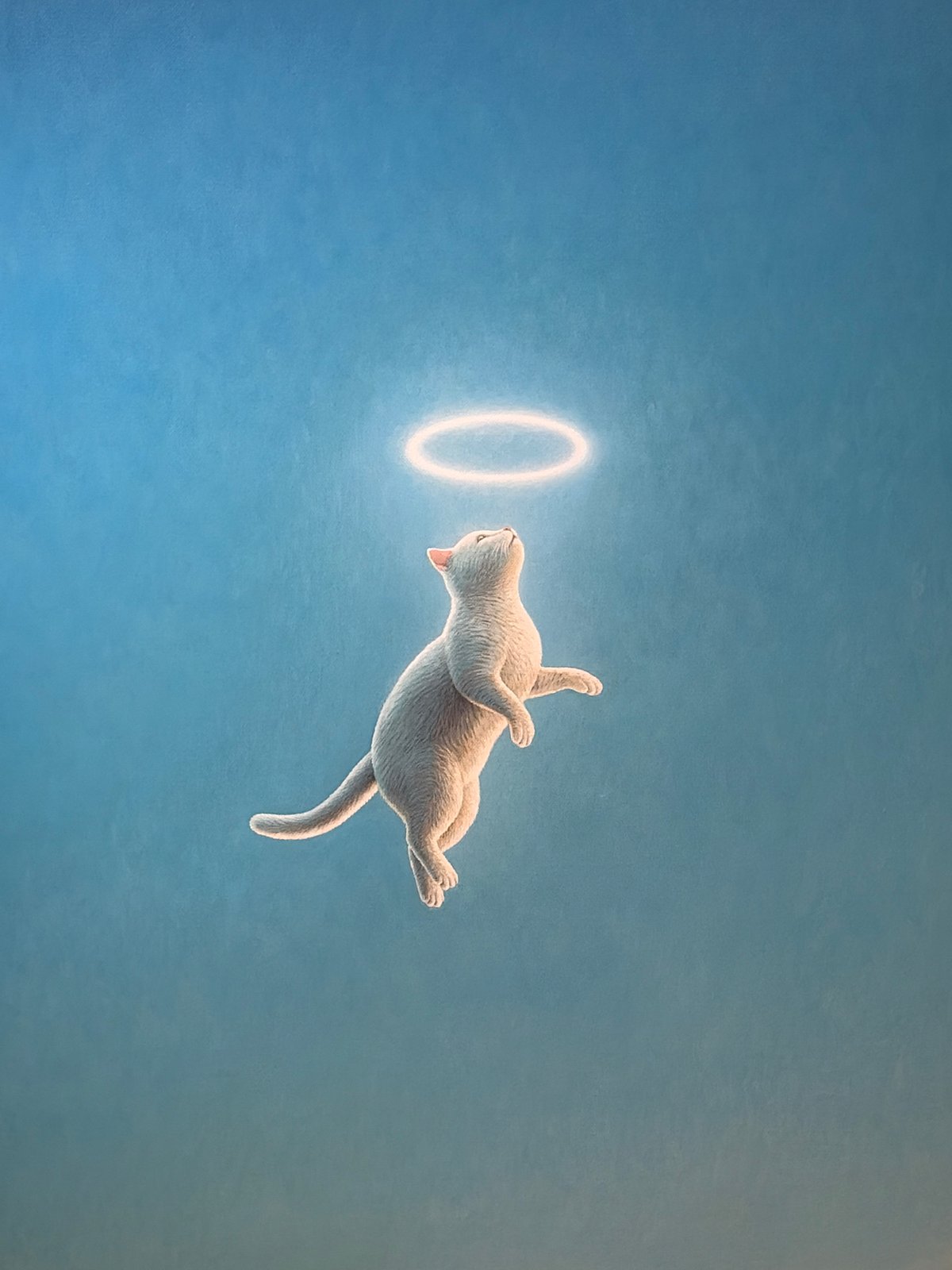 Bangkok witnesses document cat art and local shops