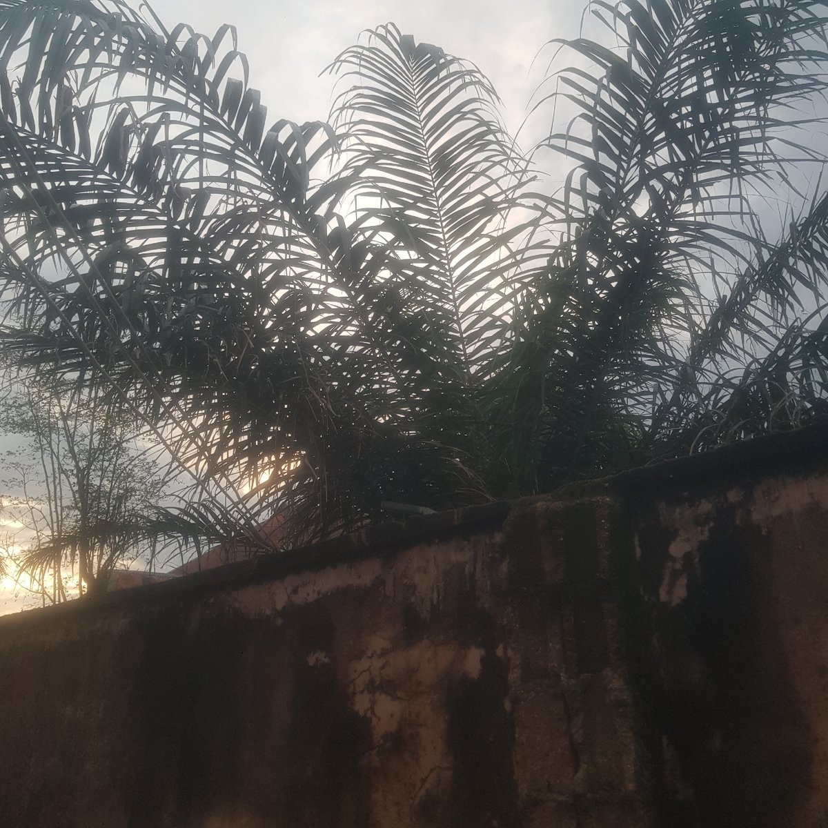 Street-level scenes across a Jalingo, Nigeria neighborhood
