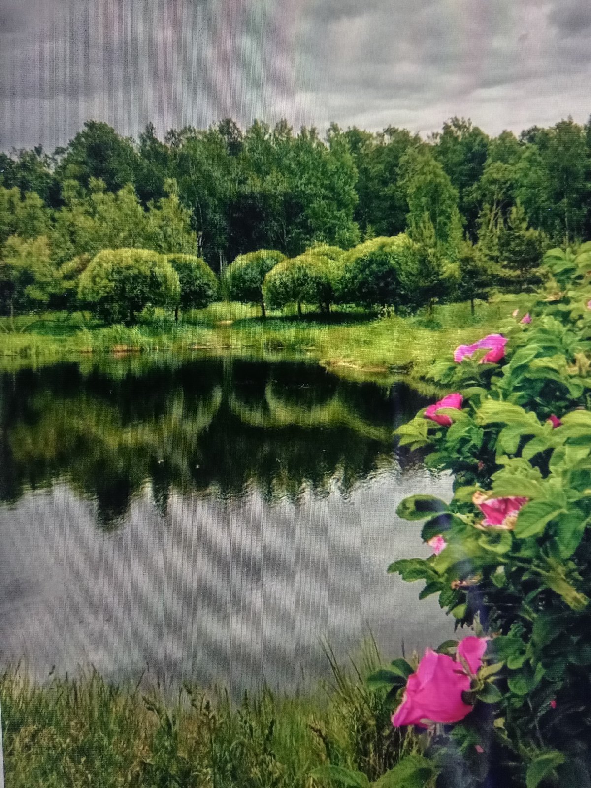 Rural Uzbekistan in bloom: lakes, fields, and orchards