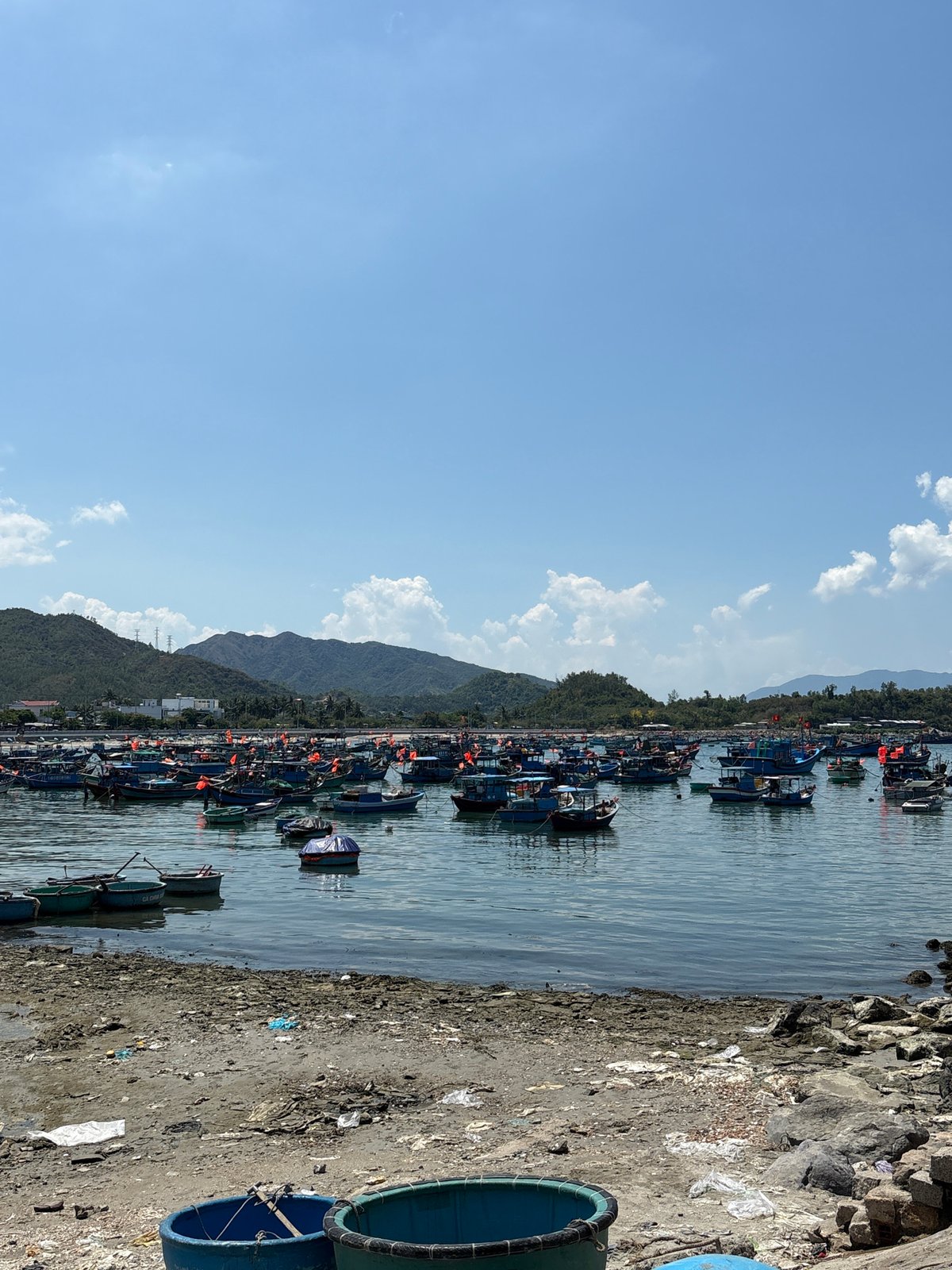 Morning fishing fleet and seafood market active in Vietnam