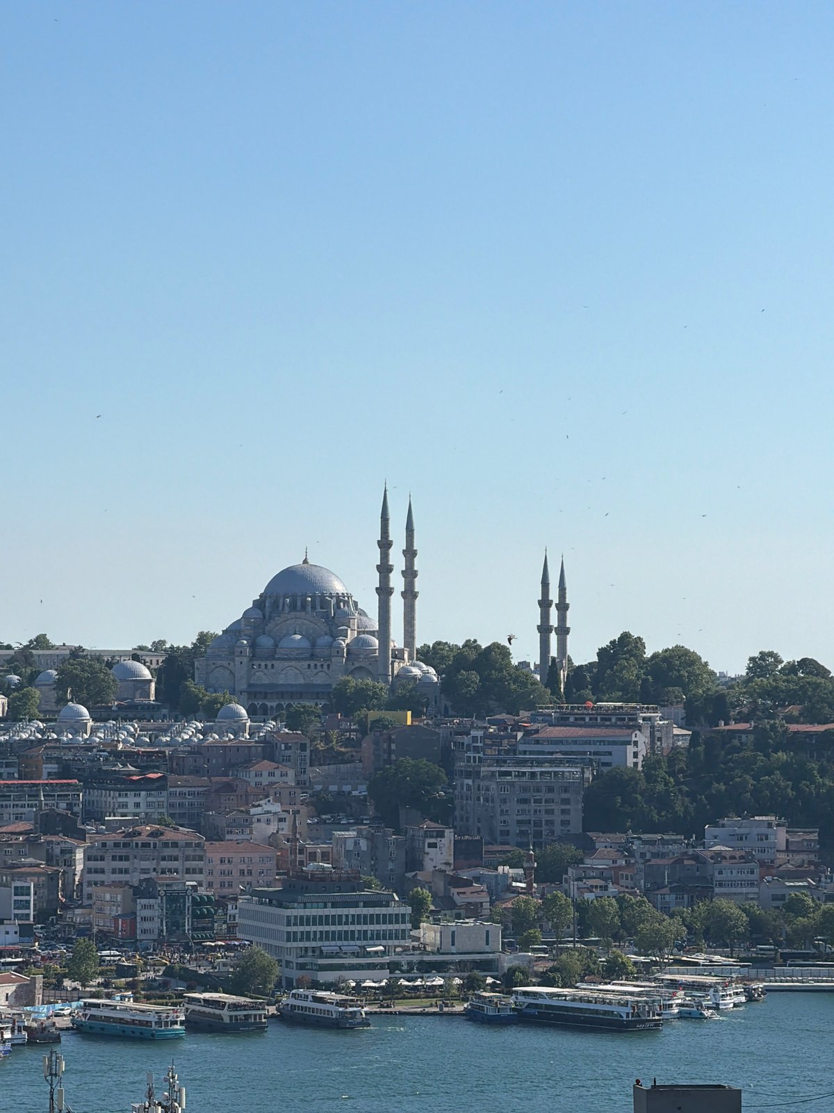 Tourist explores Beyoğlu district shops, cats, landmarks on sunny afternoon