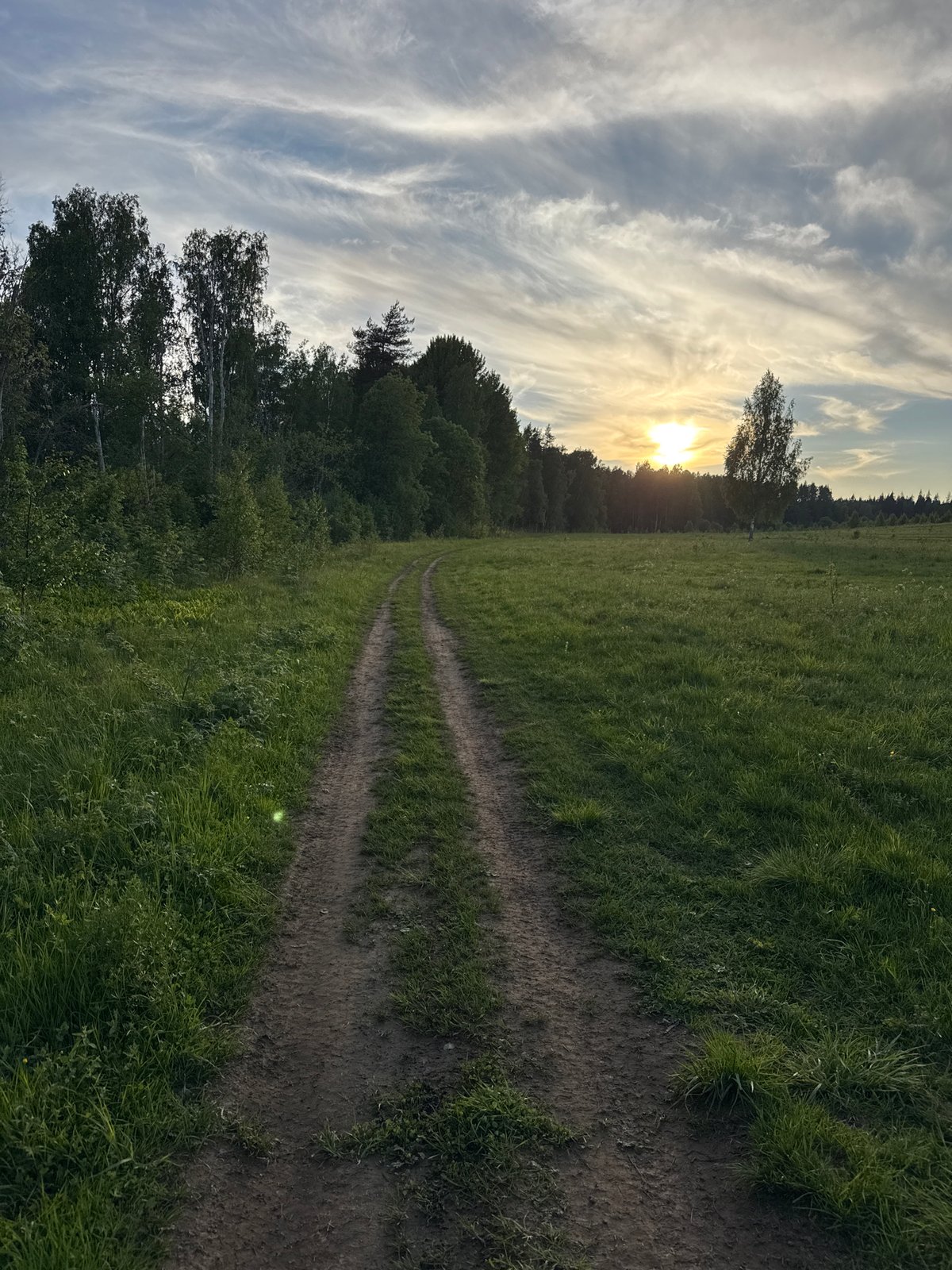 Woman photographs herself in golden hour countryside near Mars, Russia