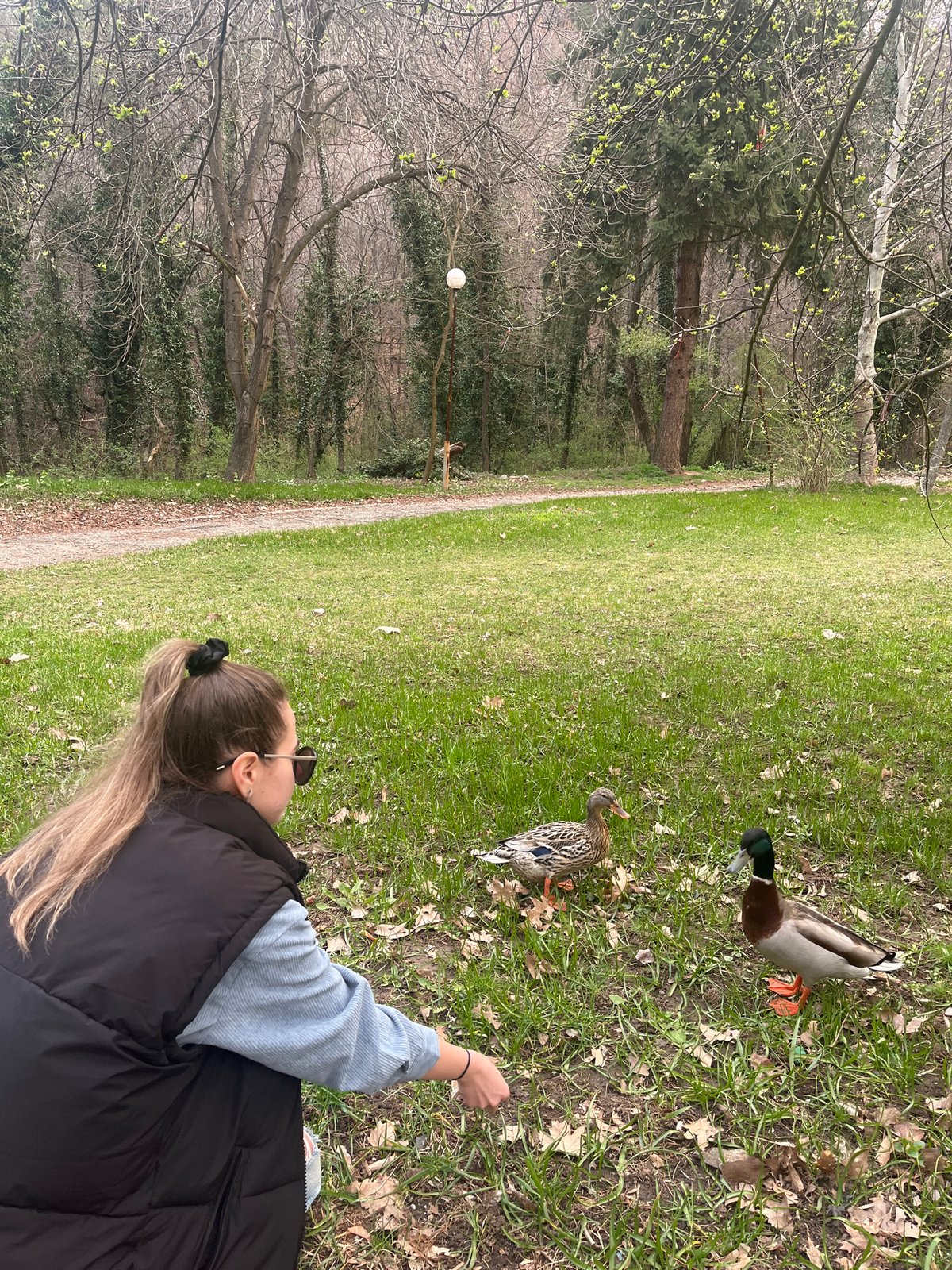 Woman feeds ducks, relaxes in Bulgarian park
