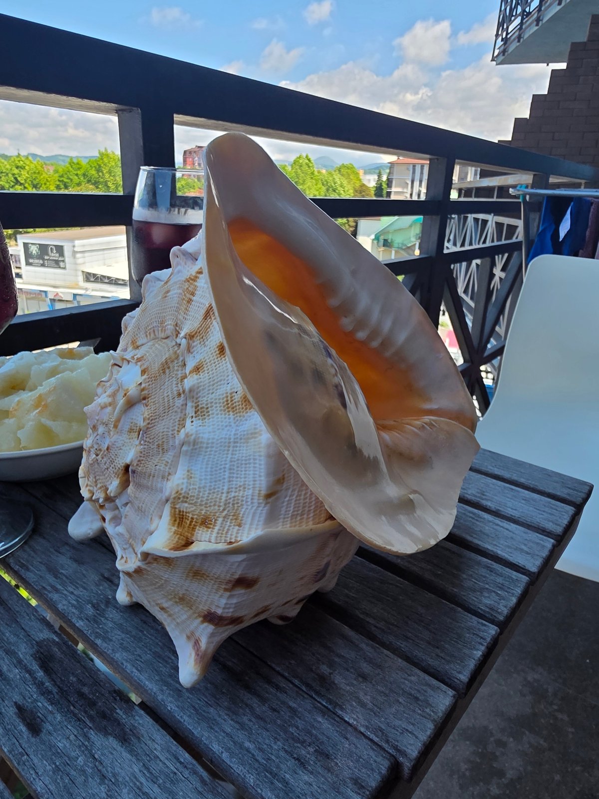 Conch shell, wine, and summer cooking on a Sochi balcony