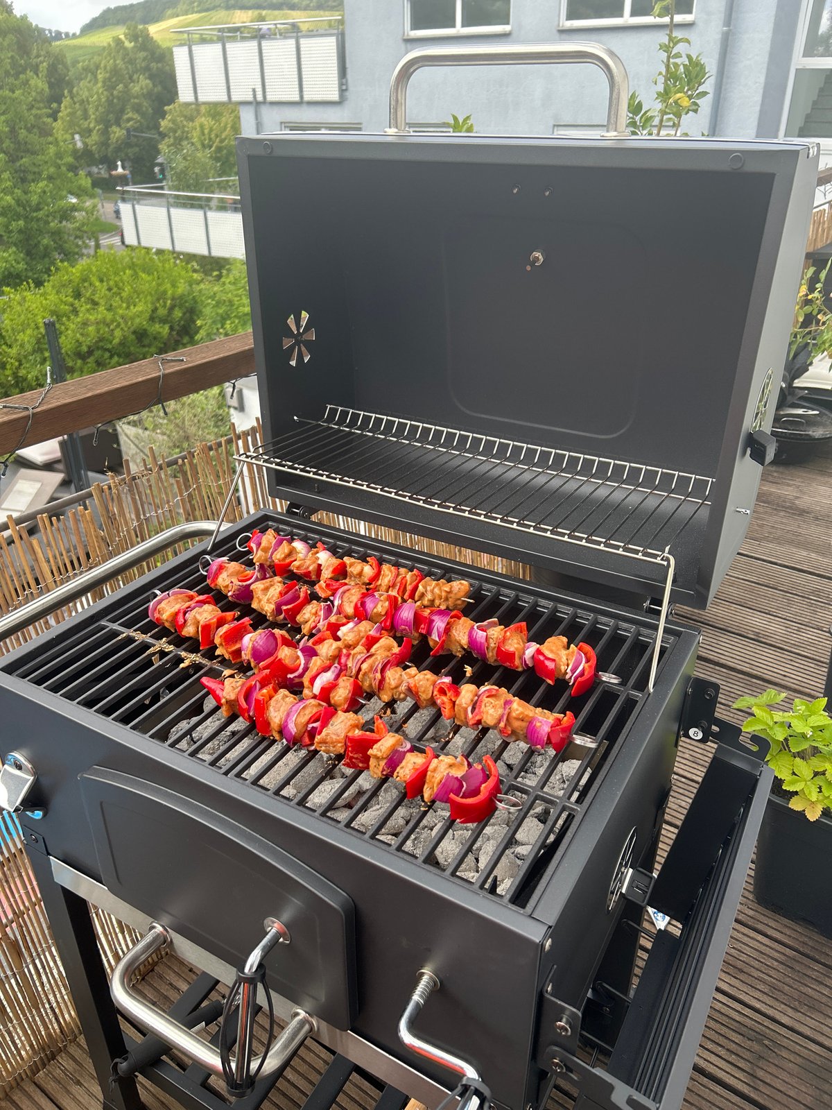 Backyard grilling session with kebabs in Heilbronn