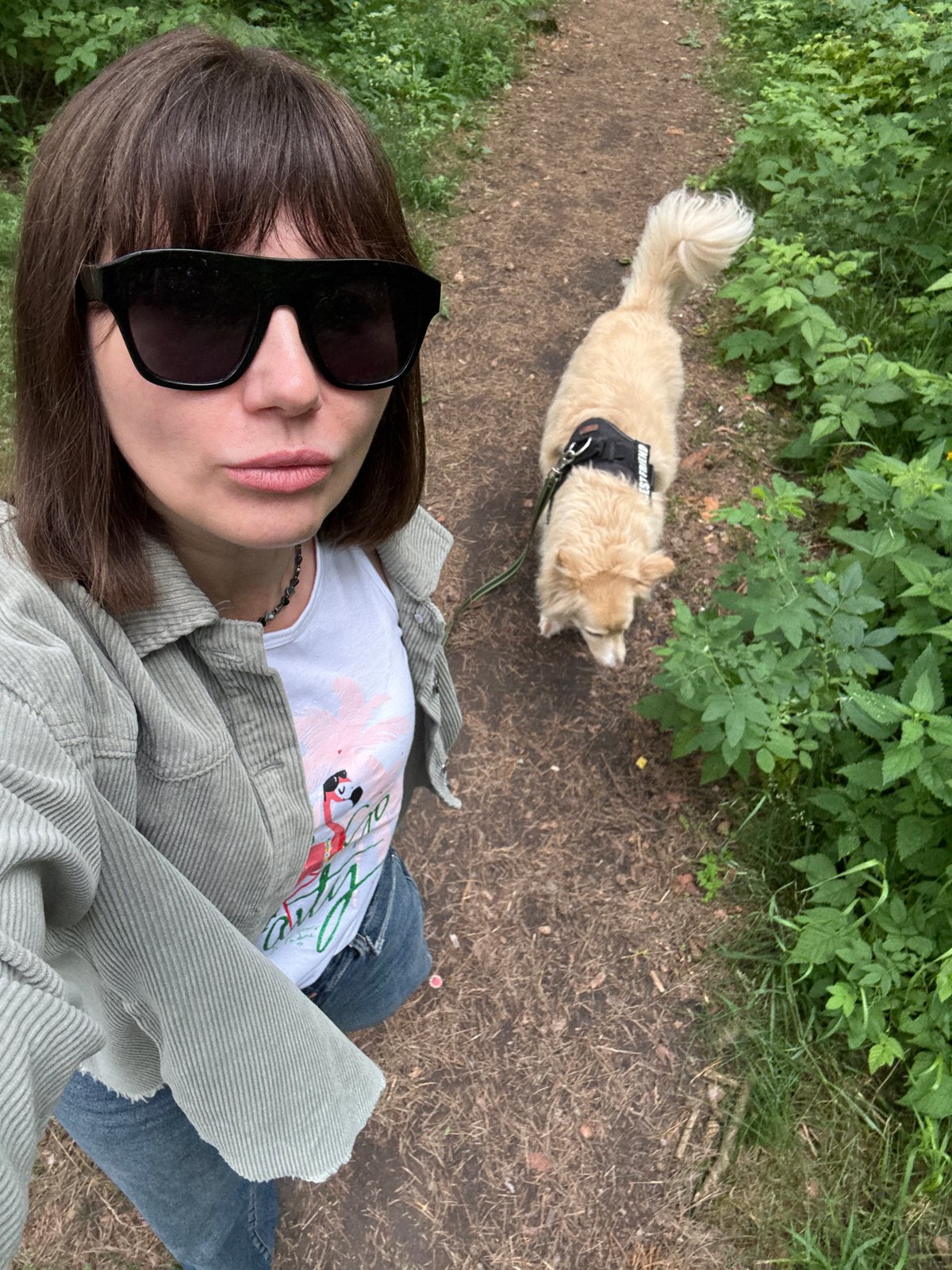 Morning walk with a dog along Chaikovsky's riverside paths