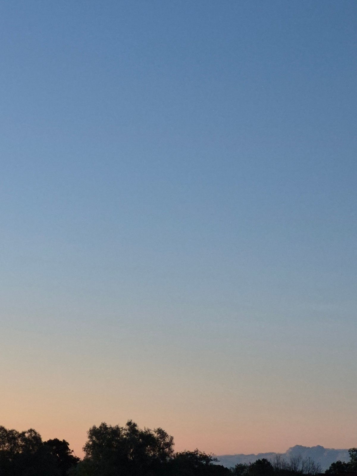 Twilight sky over Sooblase treeline, midsummer evening
