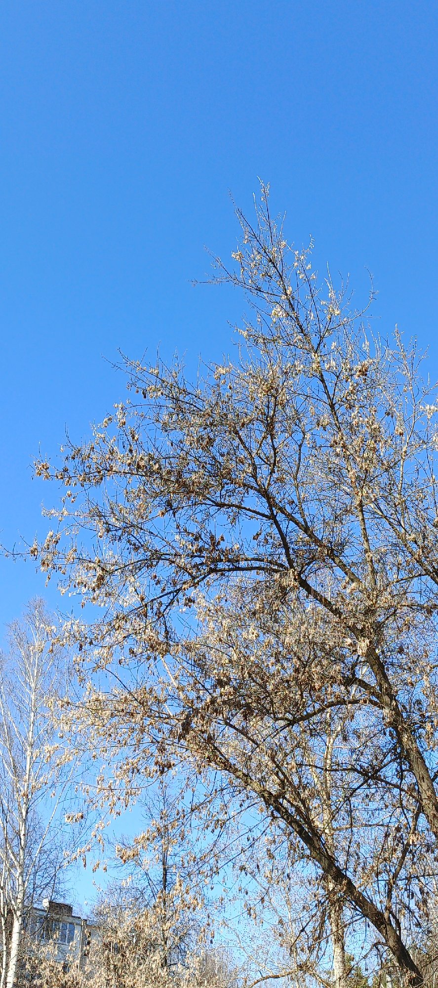 Spring morning documented in Chaikovsky park areas