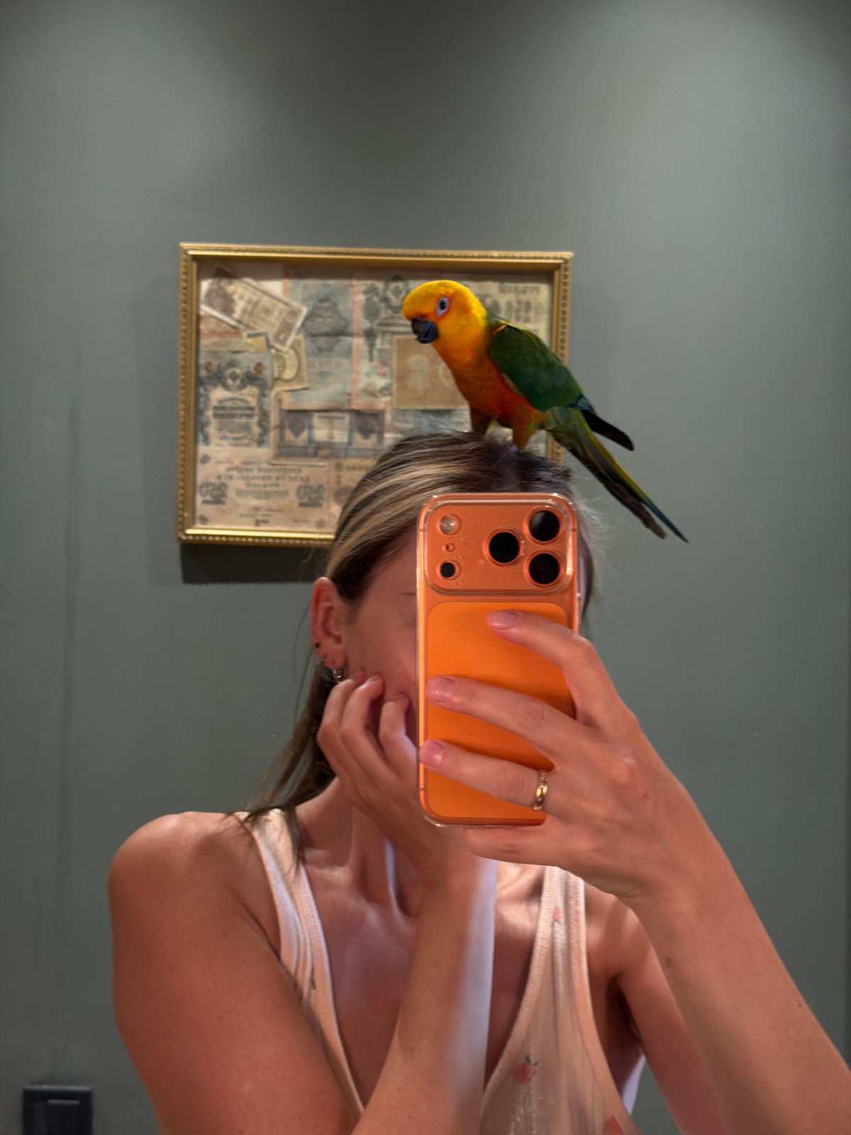 Woman takes selfie with colorful sun conure parrot in Khimki
