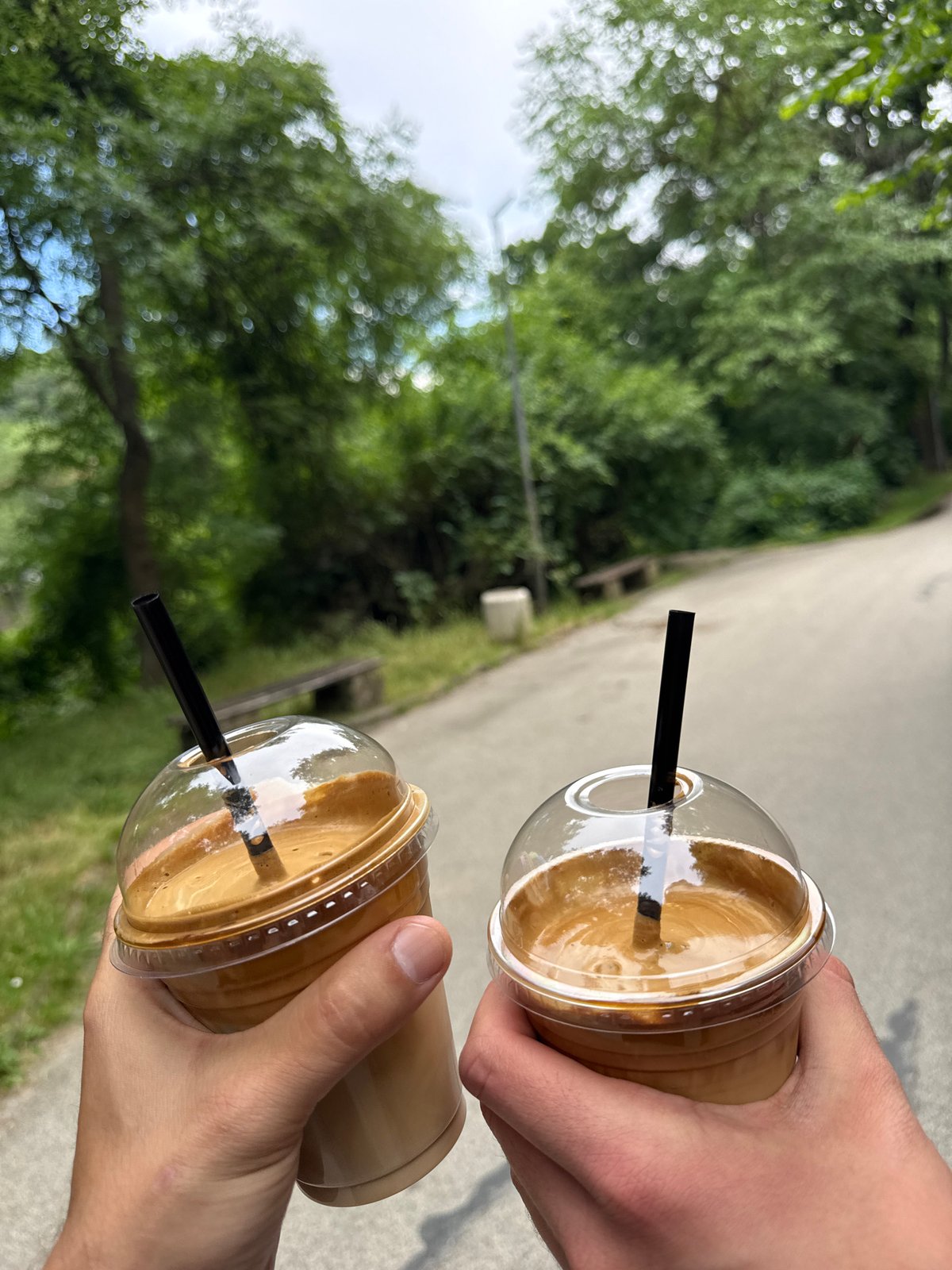 Iced coffees and a moss terrarium in Lovech