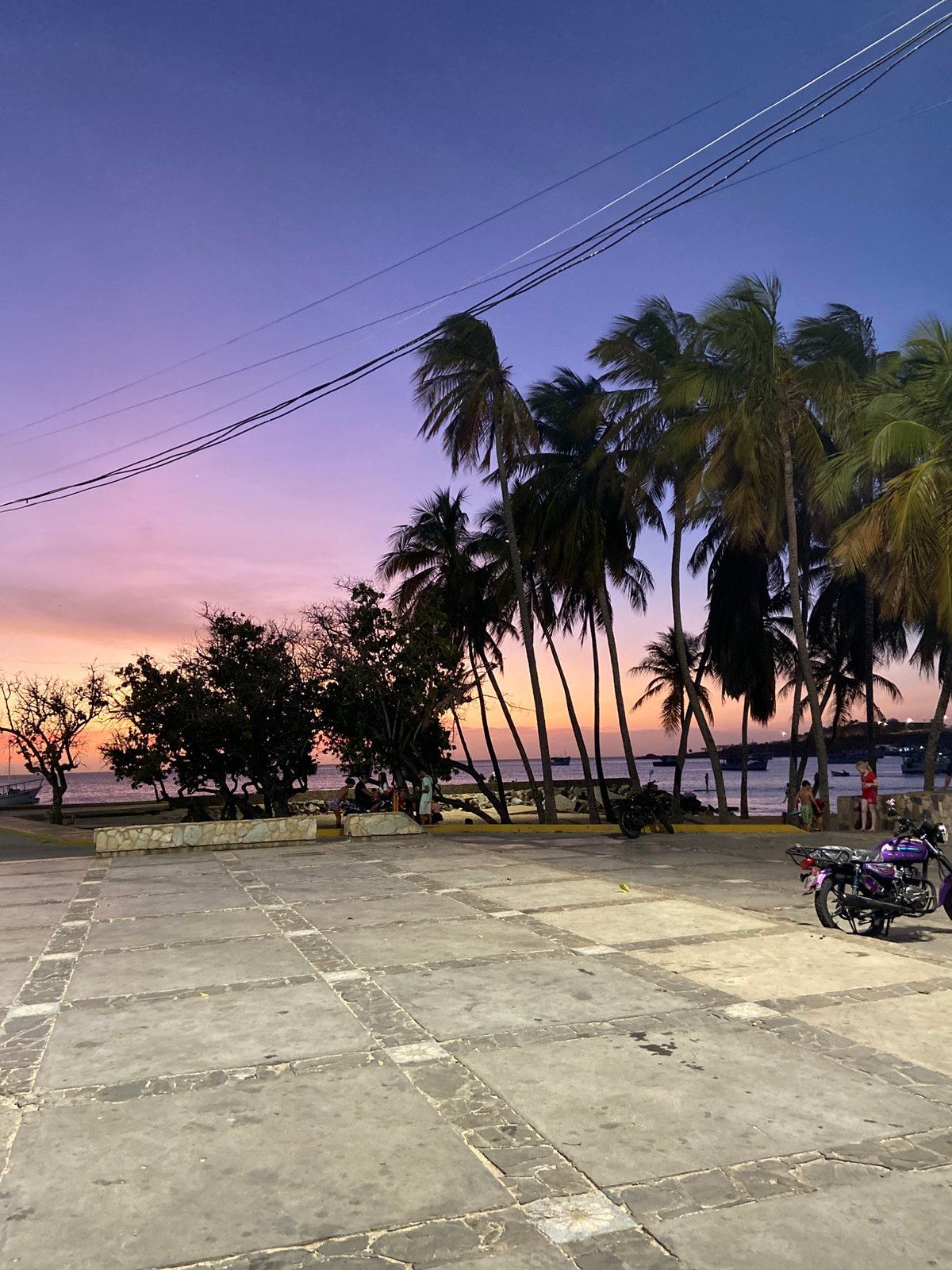 Sunset documented along cacti-lined coastline in Juan Griego, Venezuela