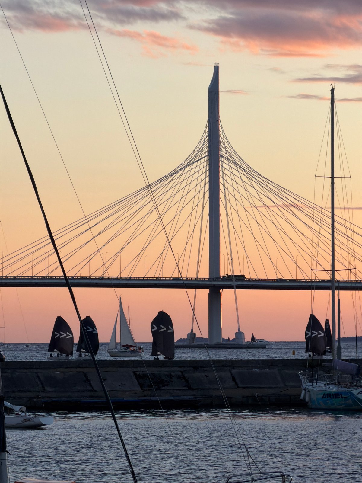 Sailing regatta on the Neva River at golden hour