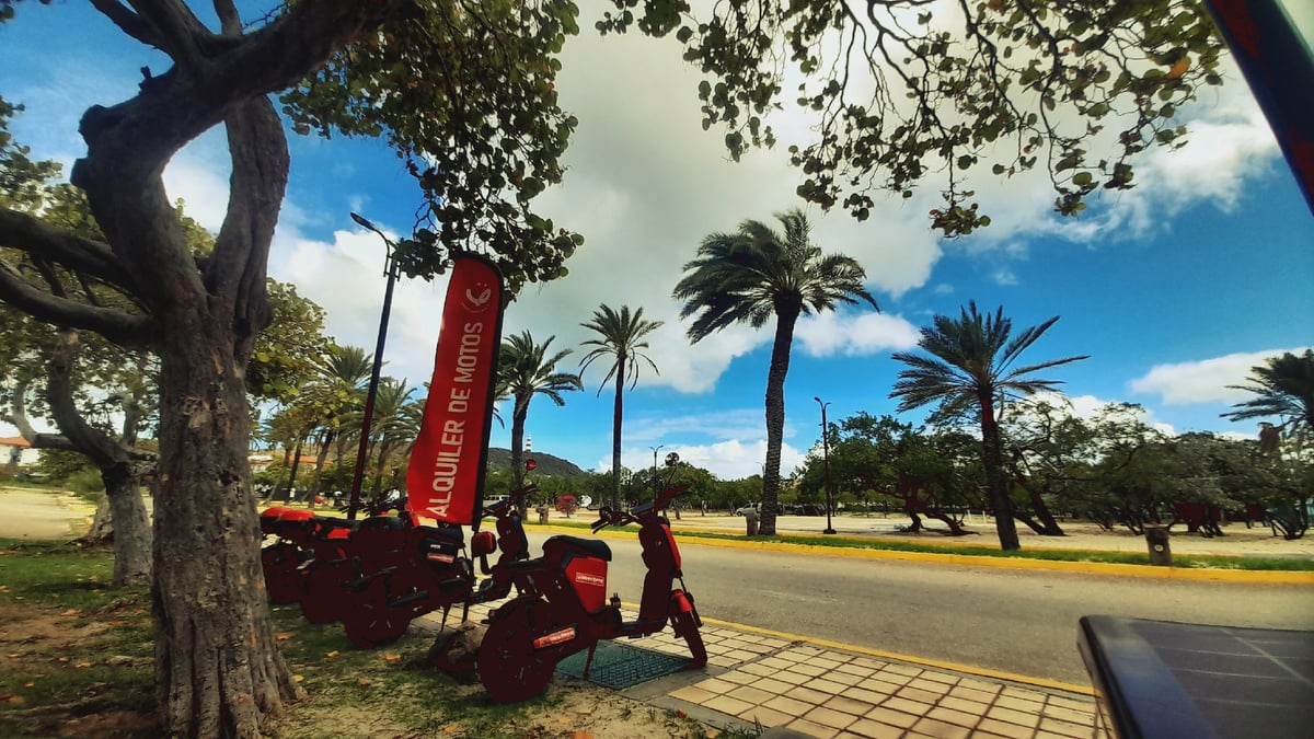 Red rental scooters line palm-studded streets in Pedro González
