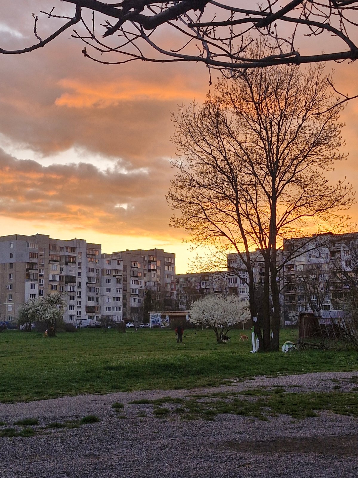 Sunset documented at Sofia park amid Soviet-era apartment buildings