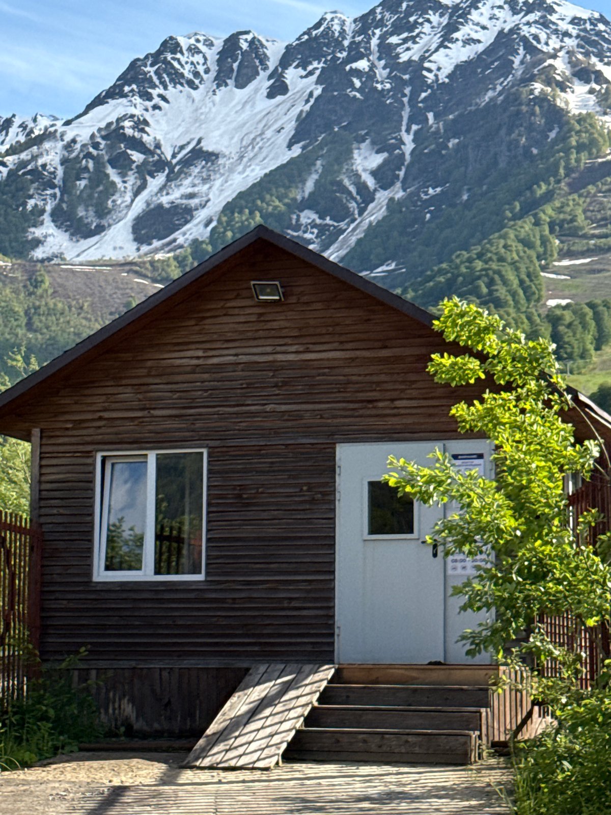 Mountain cabin and alpacas spotted in Russian countryside