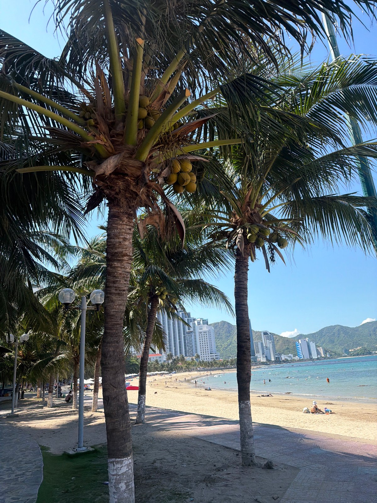 Morning beach scenes and traditional music captured in Nha Trang