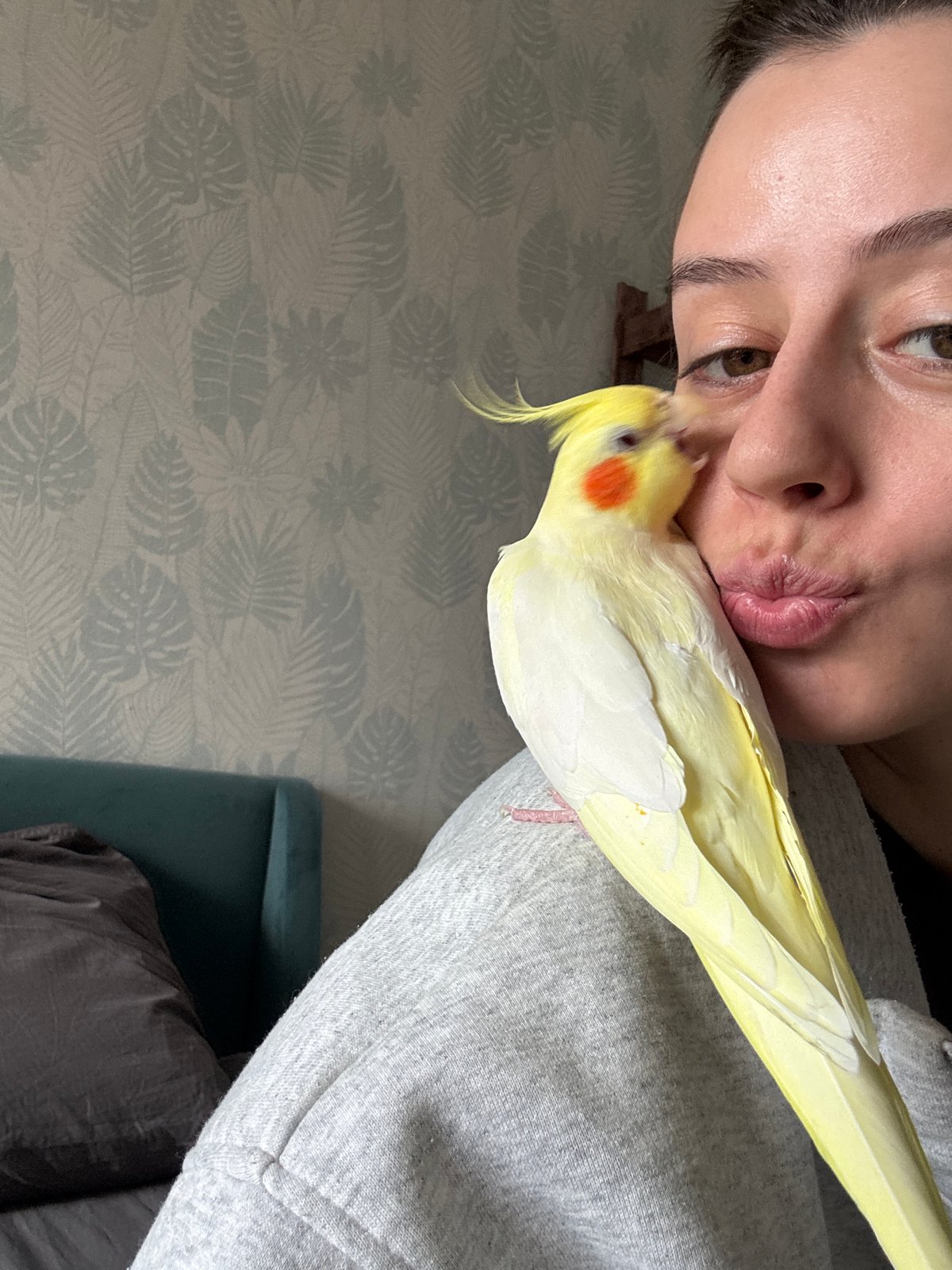 Woman shares morning moments with pet cockatiel in Krasnoyarsk