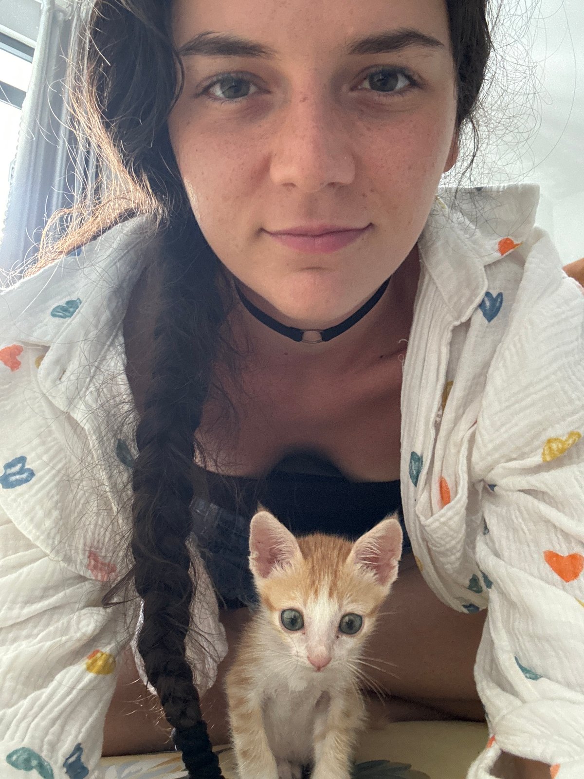Person cradles orange kitten in tender moments, Mũi Né