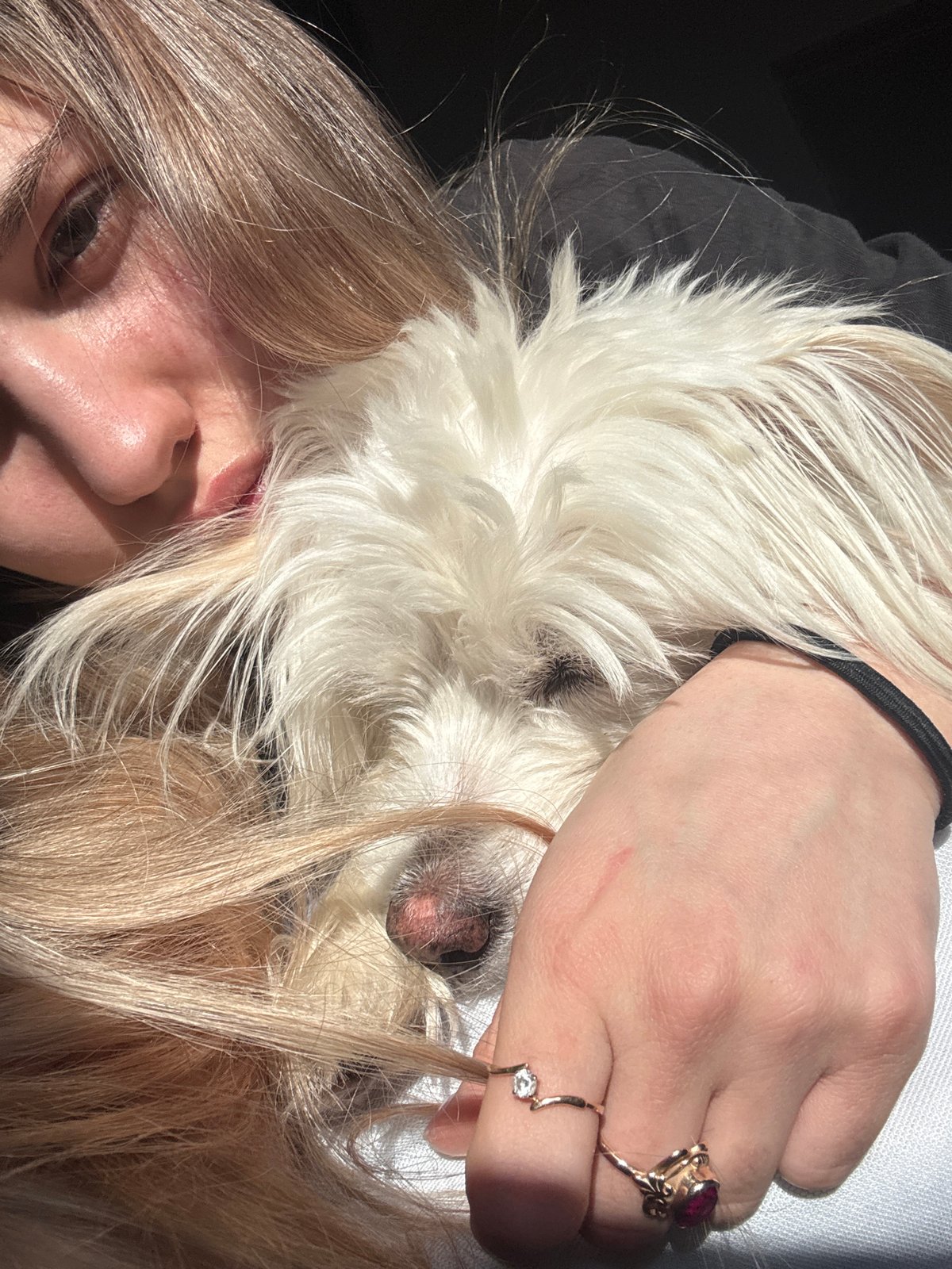 Person cuddles small white dog in Noviy, Russia