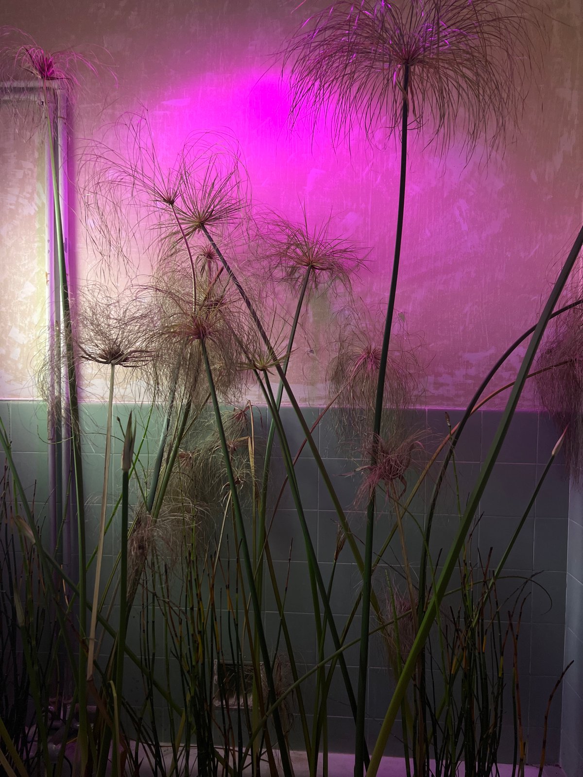 Tel Aviv urban scenes documented in five-minute span