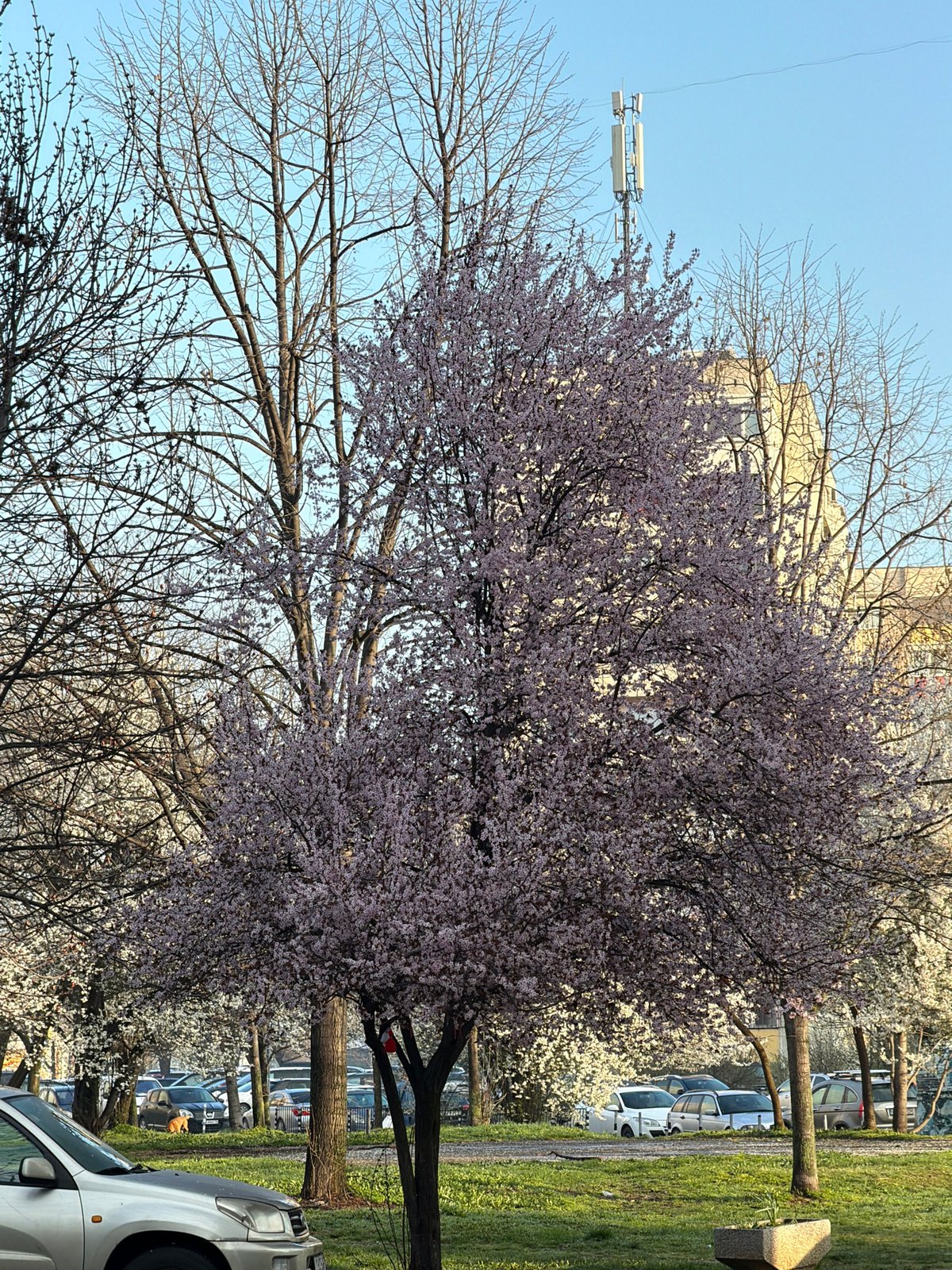 Early morning street scenes captured in Sofia, Bulgaria