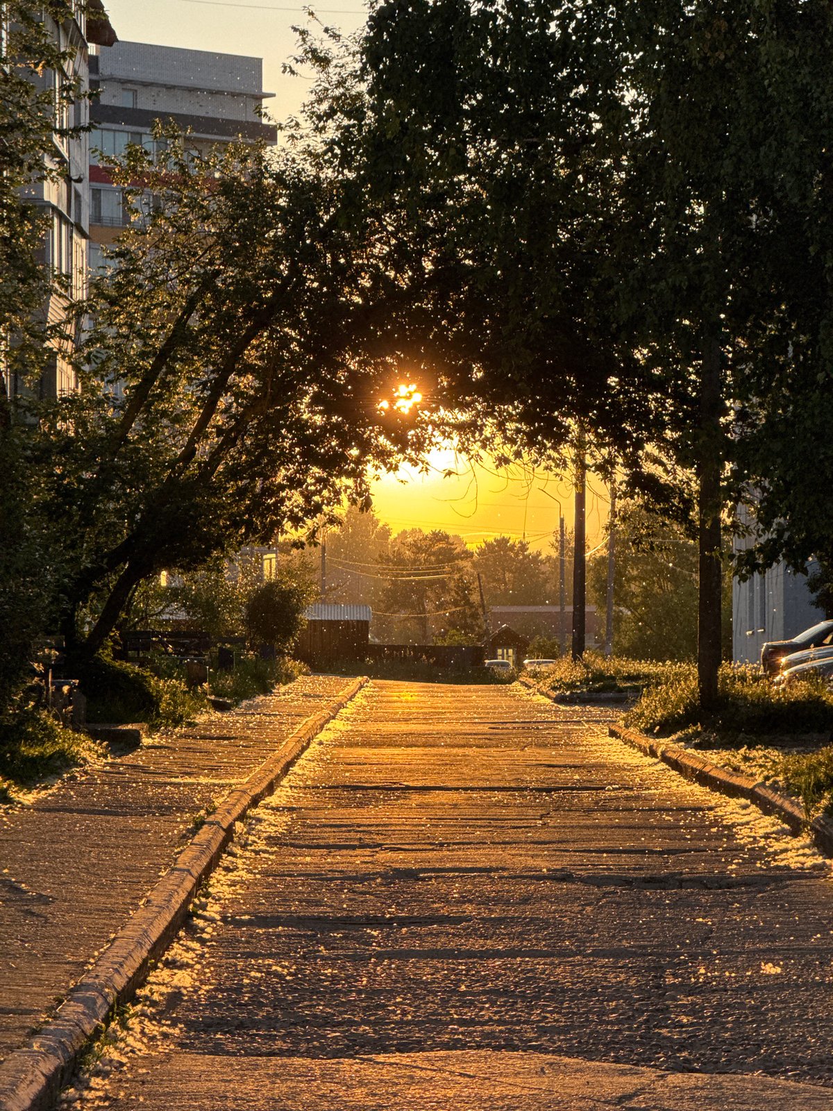 Golden Hour Moments Captured Across Chaikovsky, Russia