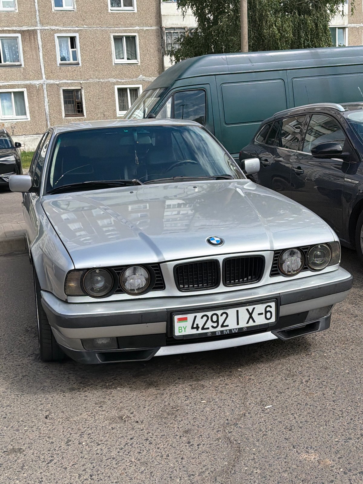 Quiet Mahilyow morning: parked BMW, garden blooms, and street pigeons