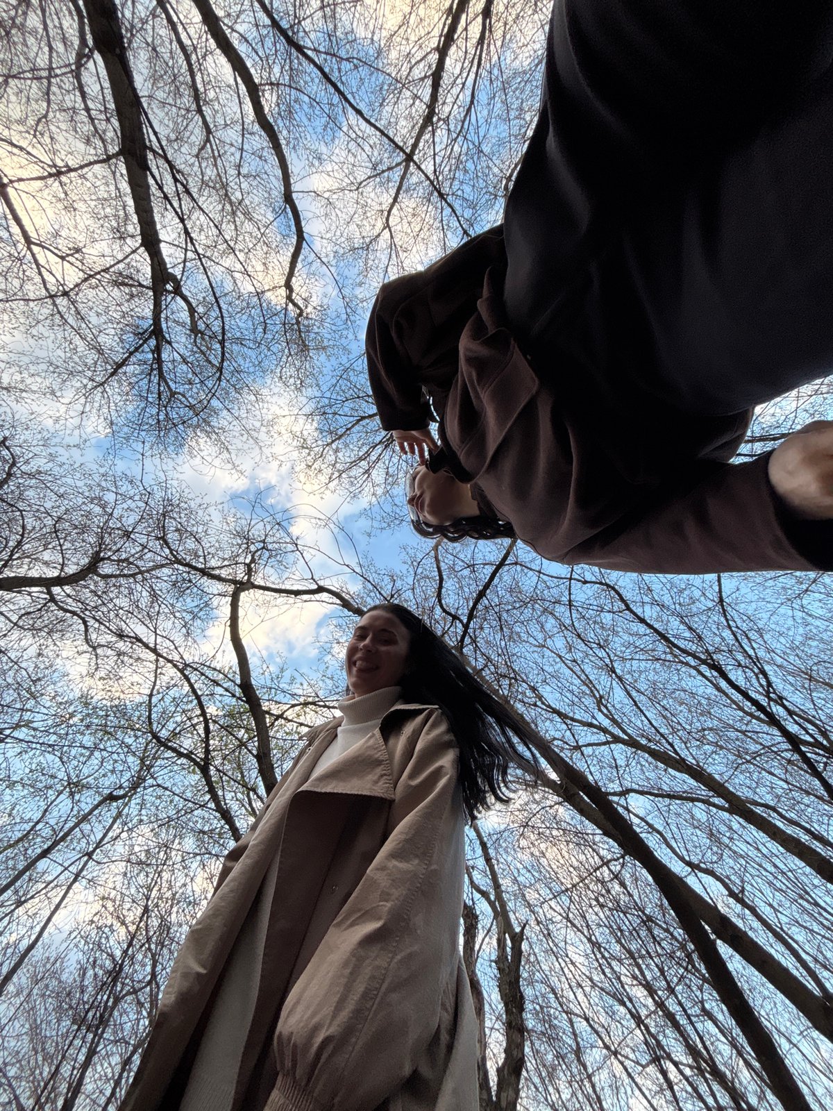 Spring walk documented through bare forests in Perm, Russia