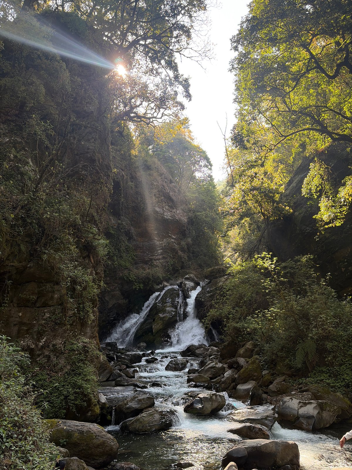 Morning scenes captured in Dhunche Nepal waterfalls and wildlife