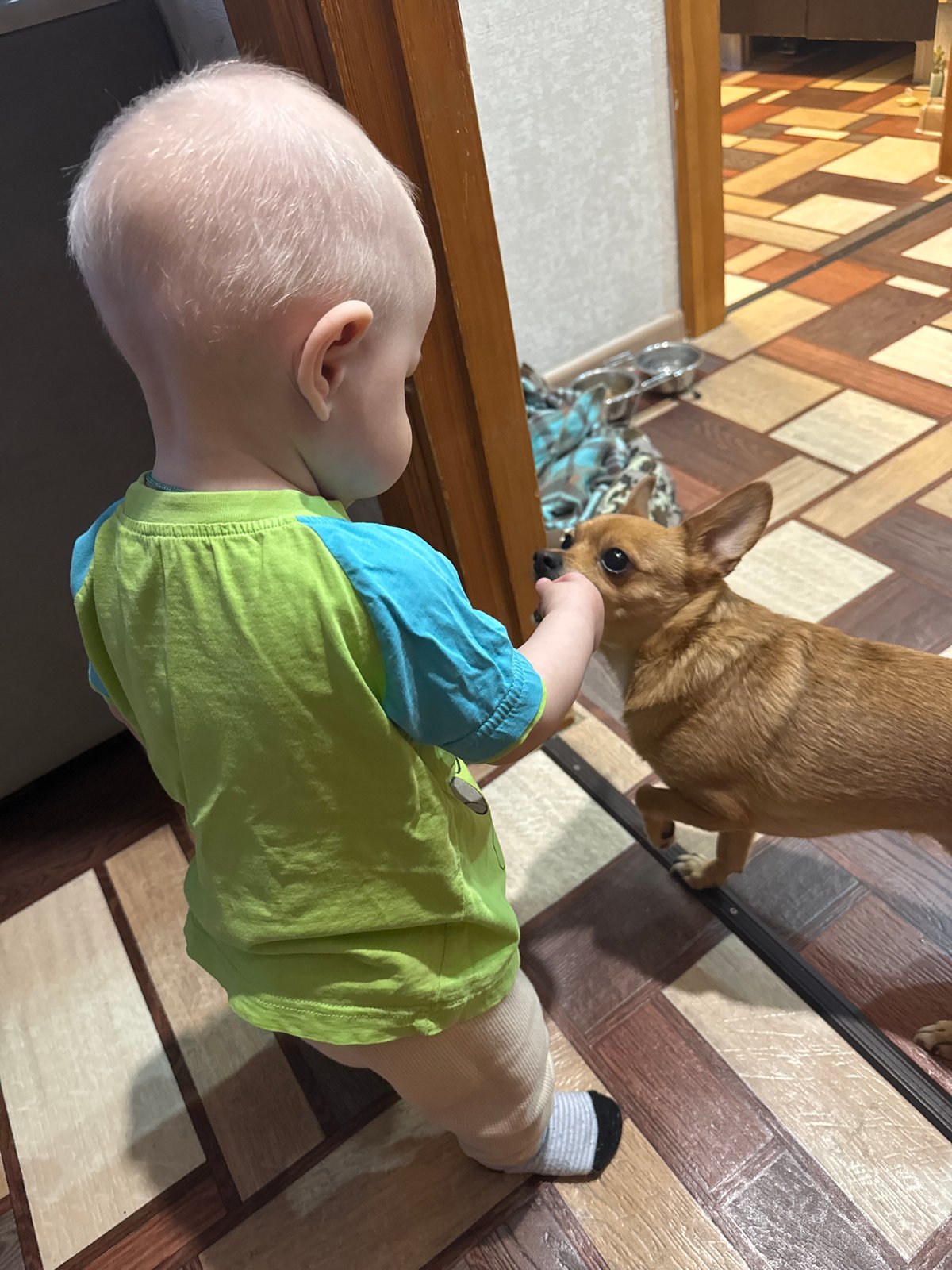 Morning domestic scenes captured in Chaikovsky, Russia