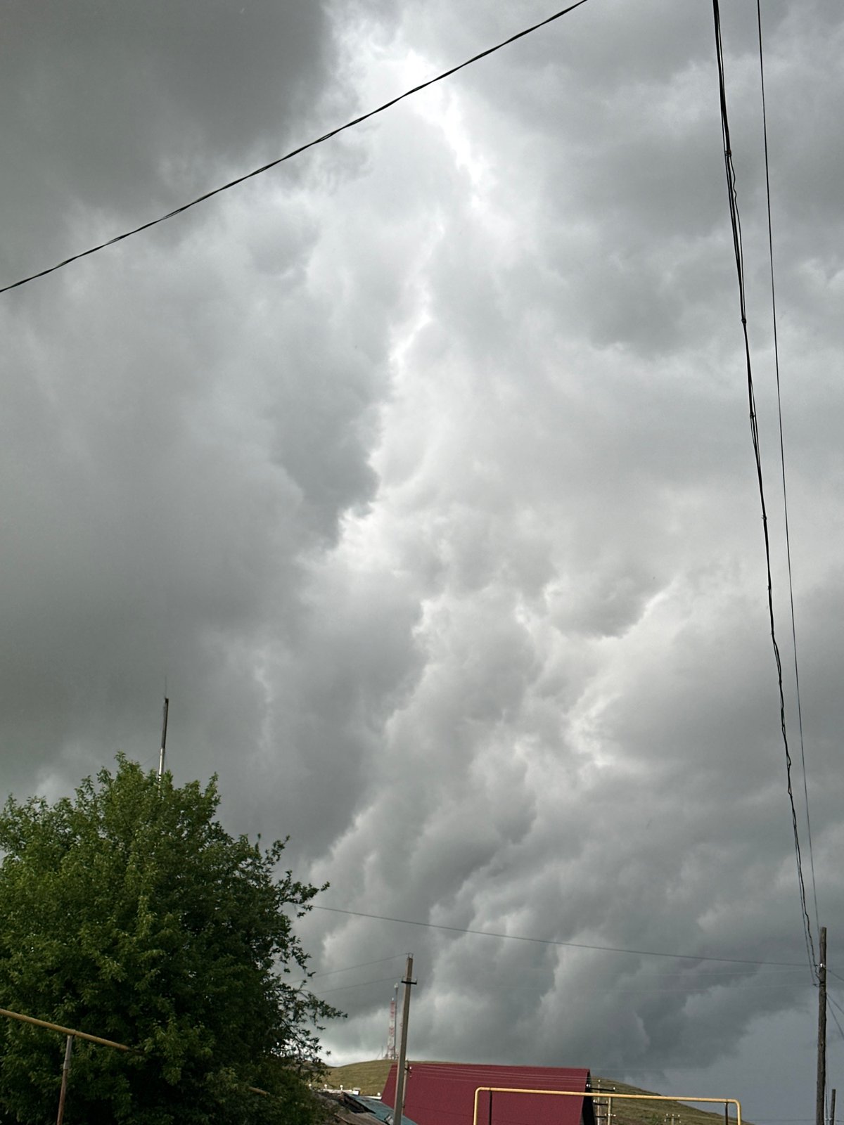 Storm clouds gather over grazing cattle in rural area