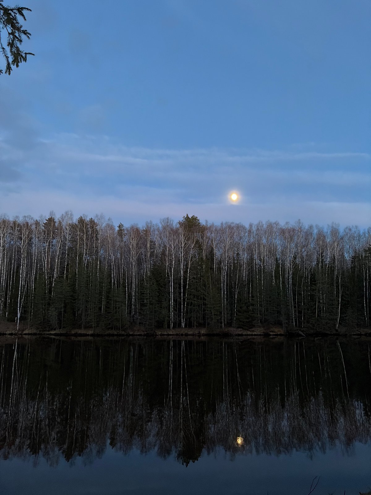Twilight landscape captured in Мишкино, Russia shows moonlit forest scene