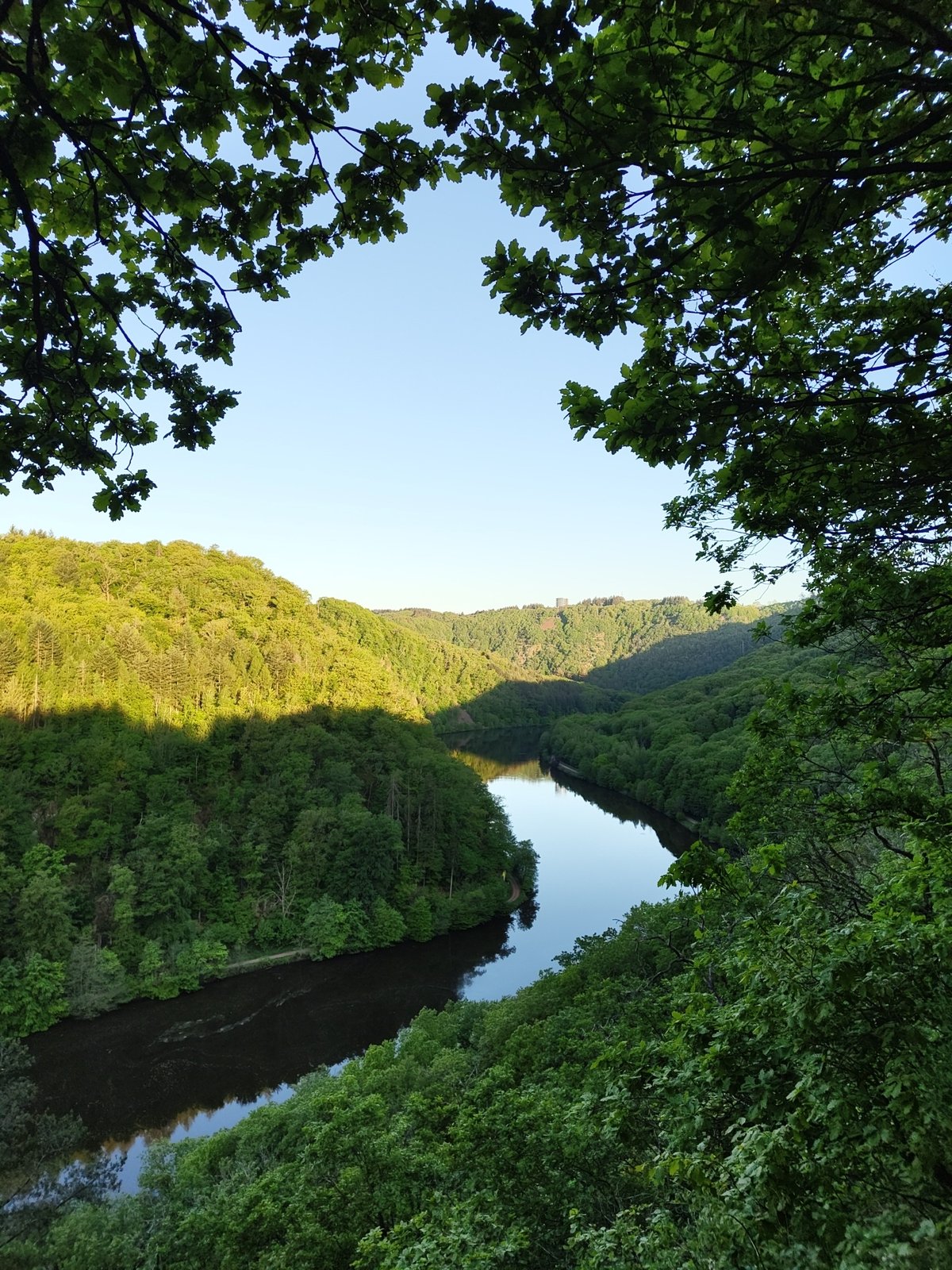 Dawn photography captures Saarschleife vista and forest trail in Mettlach