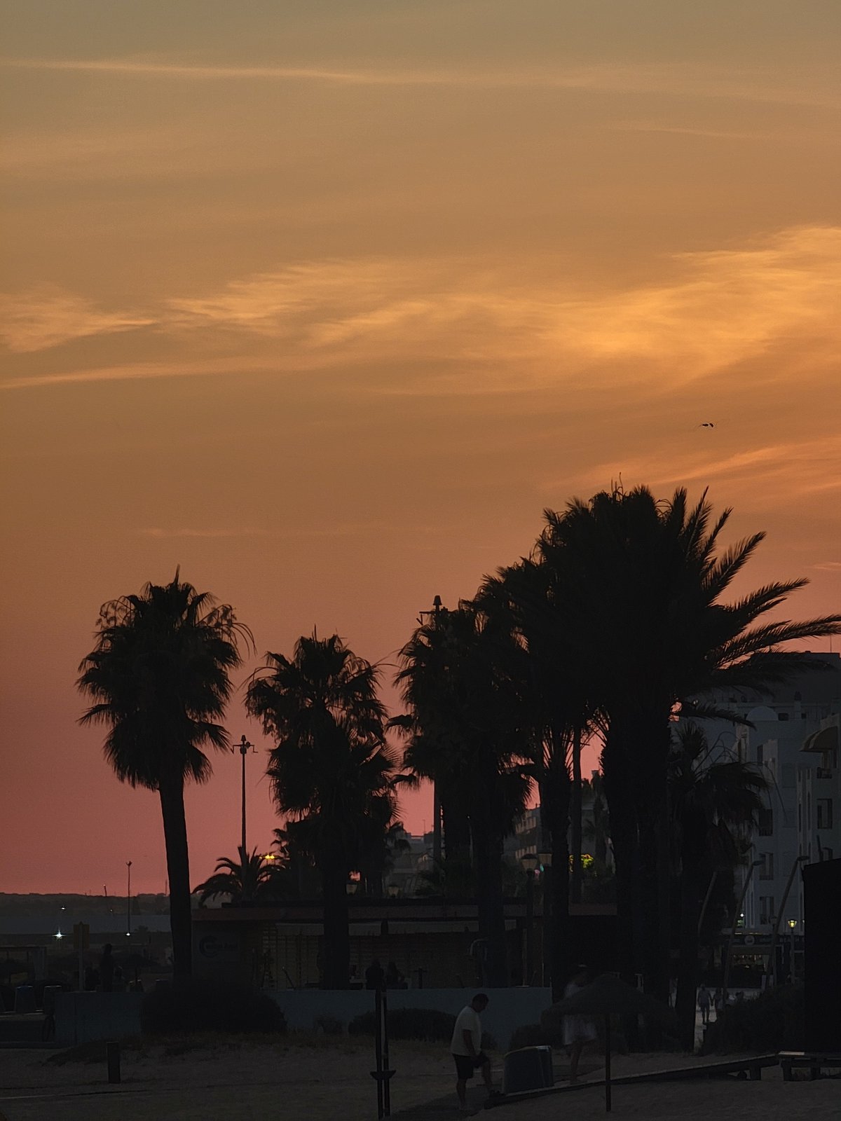 Quarteira beachfront promenade at golden hour, July 2026