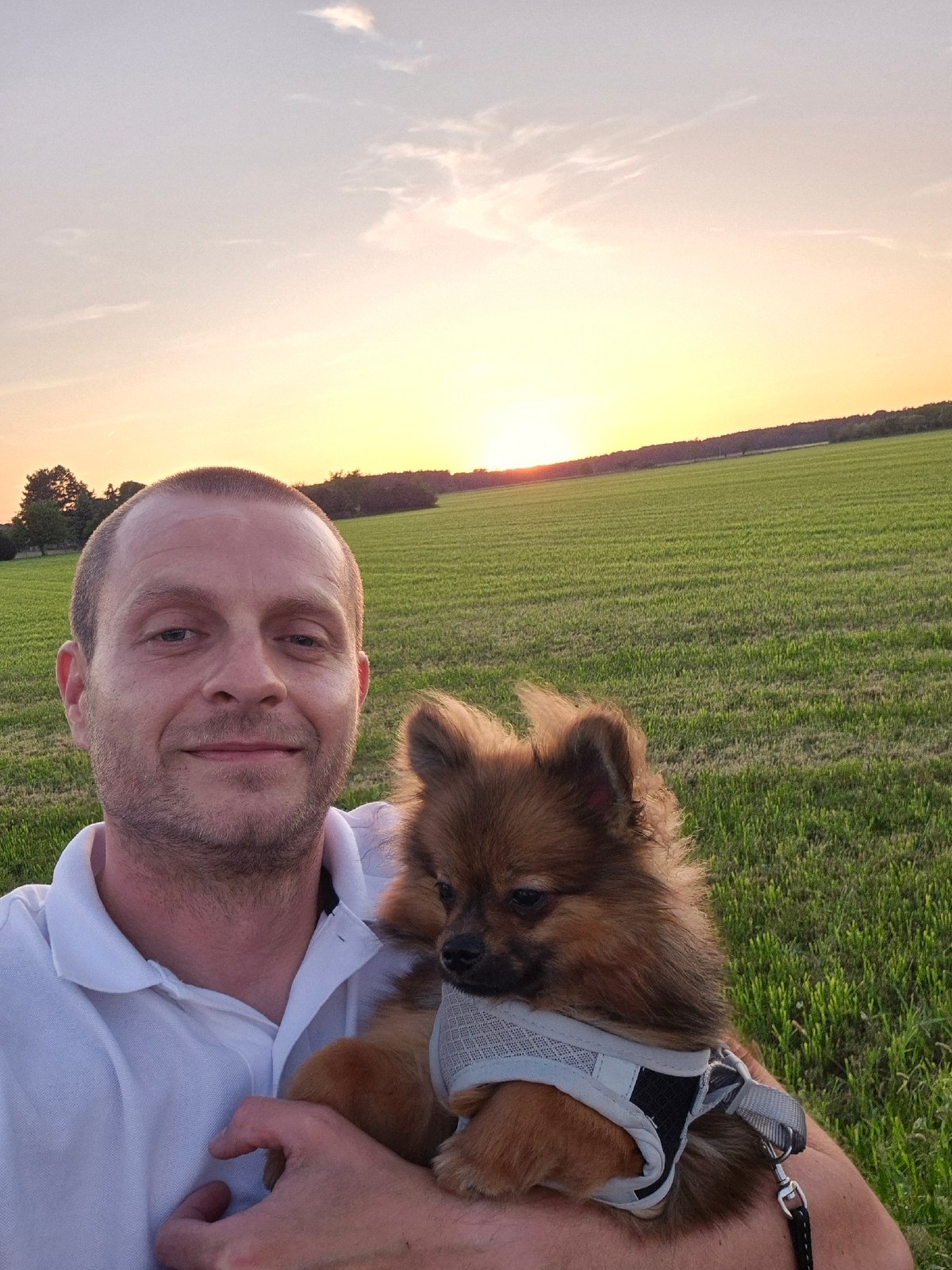 Evening moments captured in Arzberg: pets, sunset, neighborhood life