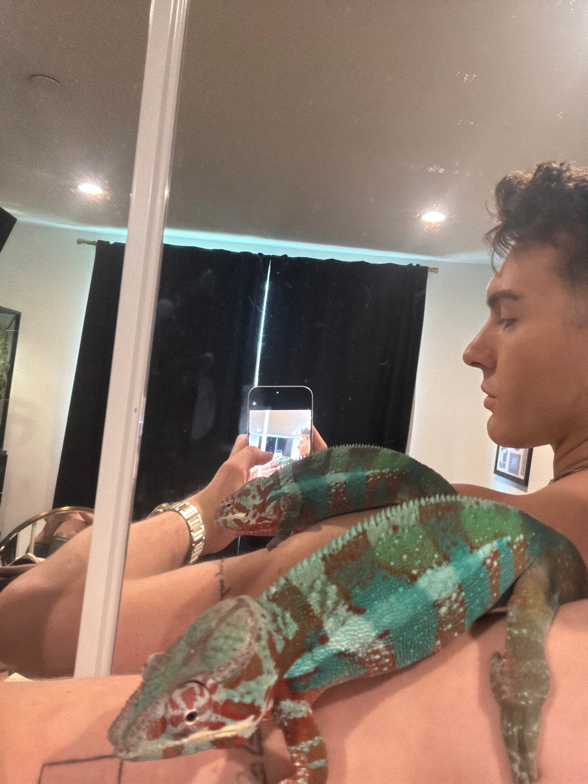 Person poses with chameleon in Los Angeles mirror selfie