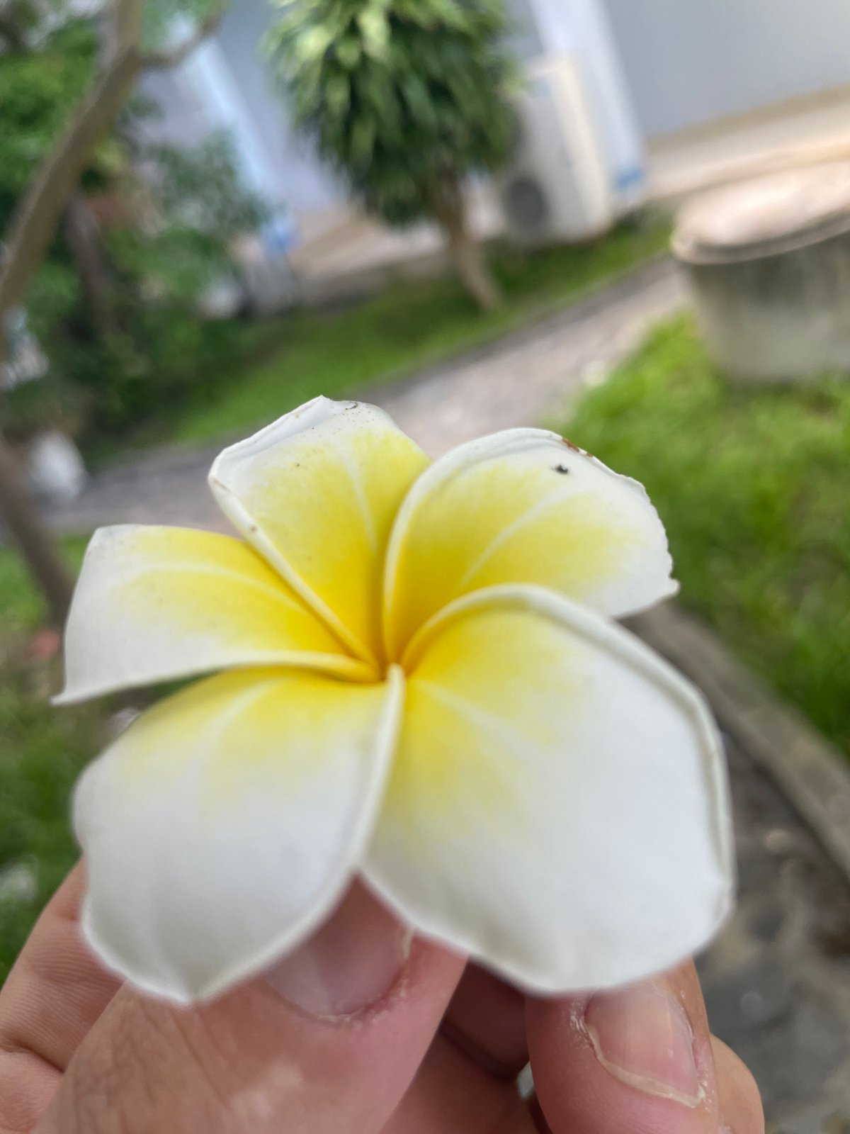 Witness documents everyday life across Nha Trang Ward Vietnam