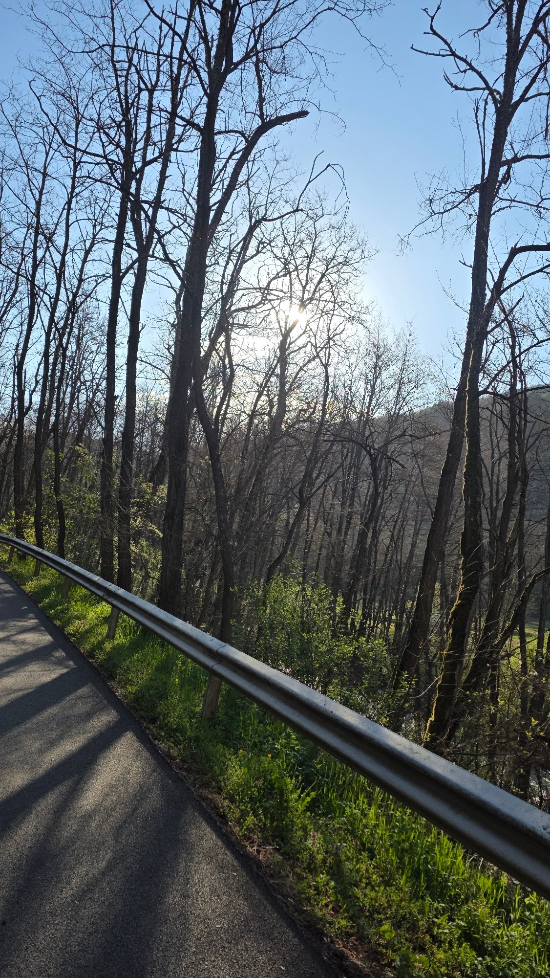 Morning drive through wooded area near Blagoevgrad documented